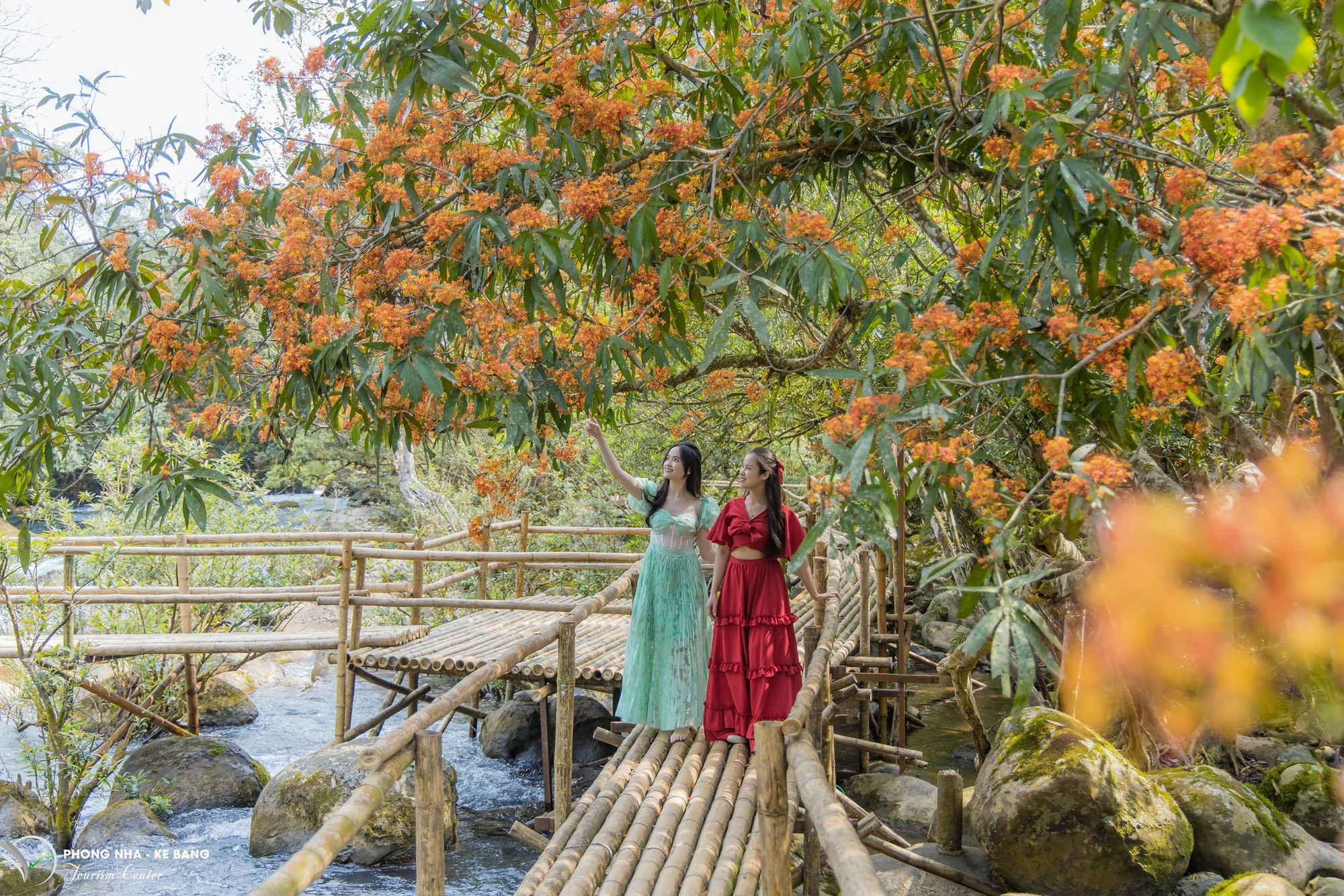 Du khách tham quan cầu gỗ ở điểm du lịch. Du khách tham quan cầu gỗ ở điểm du lịch.