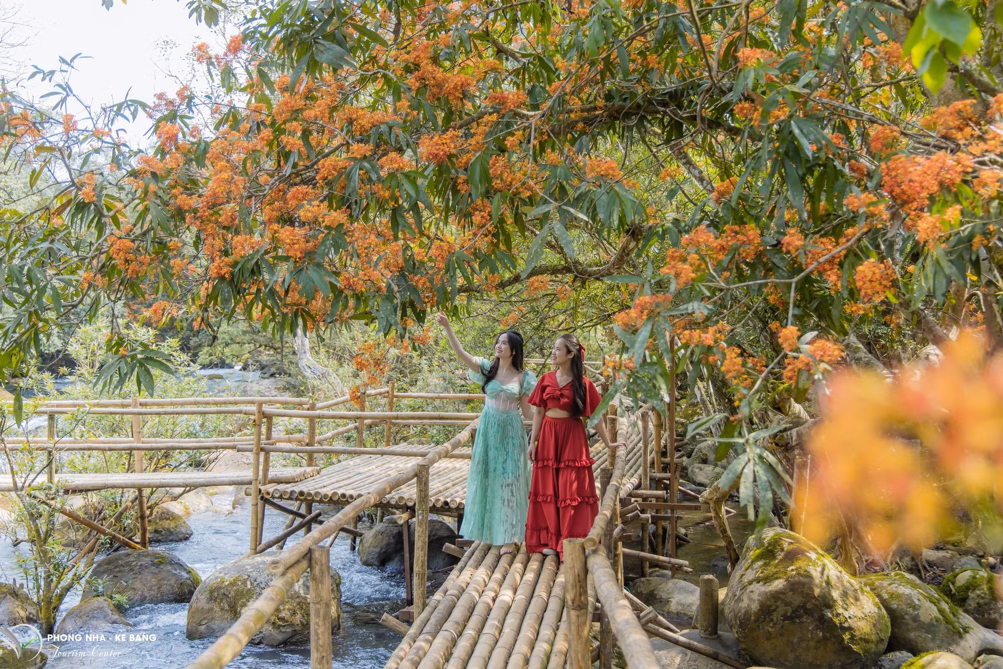 Du khách tham quan cầu gỗ ở điểm du lịch. Du khách tham quan cầu gỗ ở điểm du lịch.