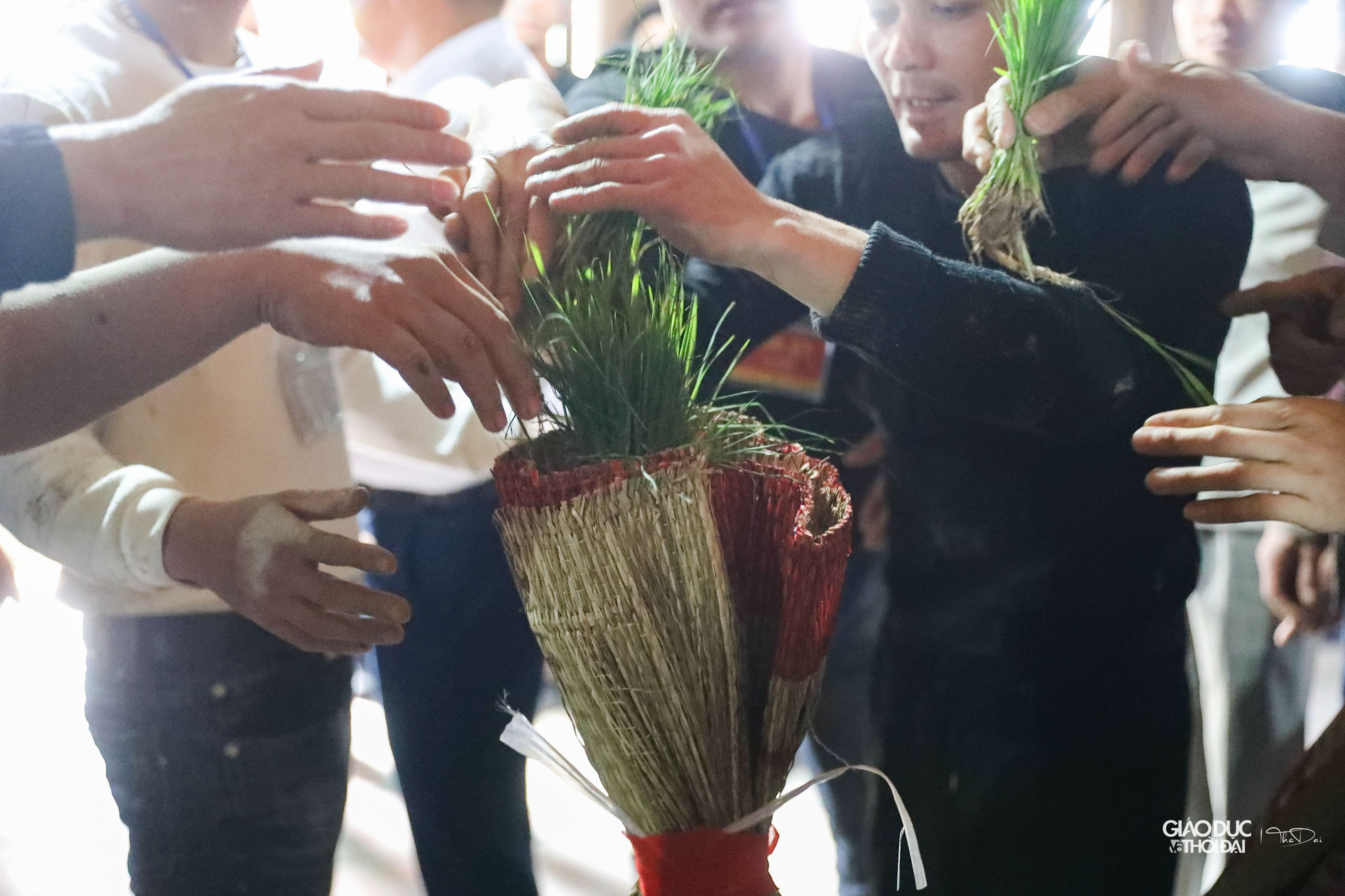 Dân làng chùm lên người Bụt một chiếu cói, trên đỉnh chóp là bó mạ, đây là chiếu giữa - chiếu quan trọng nhất.