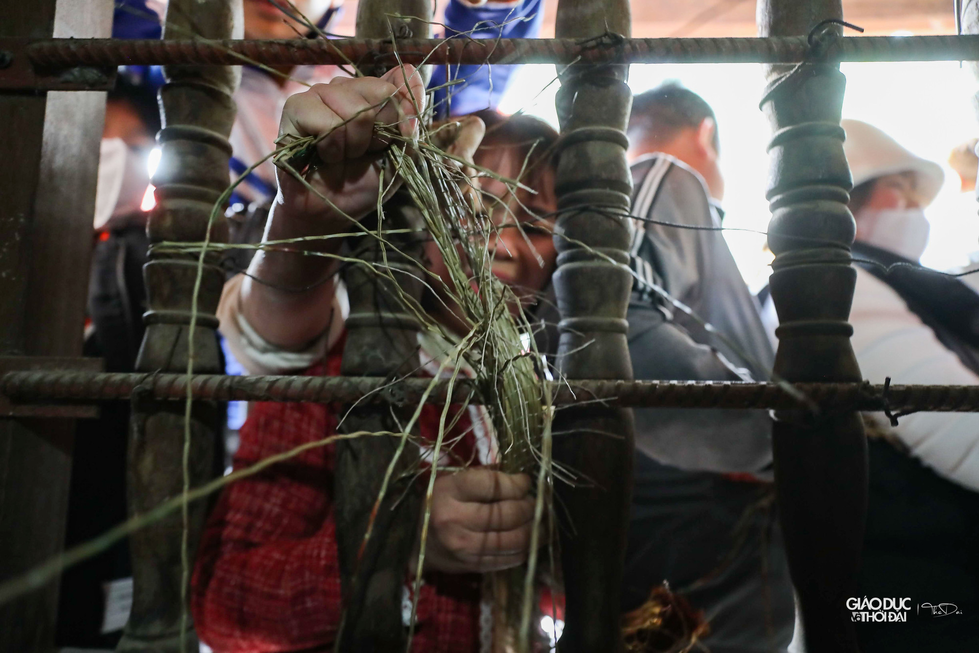 Rất đông người dân tại khu vực cửa đình để mong lấy được chiếu sớm.