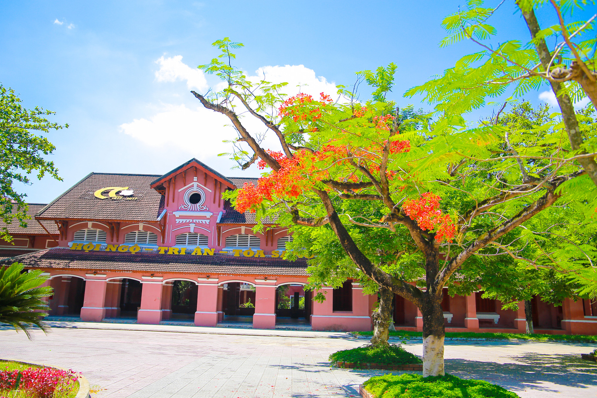 Trường THPT Hai Bà Trưng (TP Huế) hoa phượng nở rộ báo hiệu kỳ nghỉ hè của học sinh đã tới.