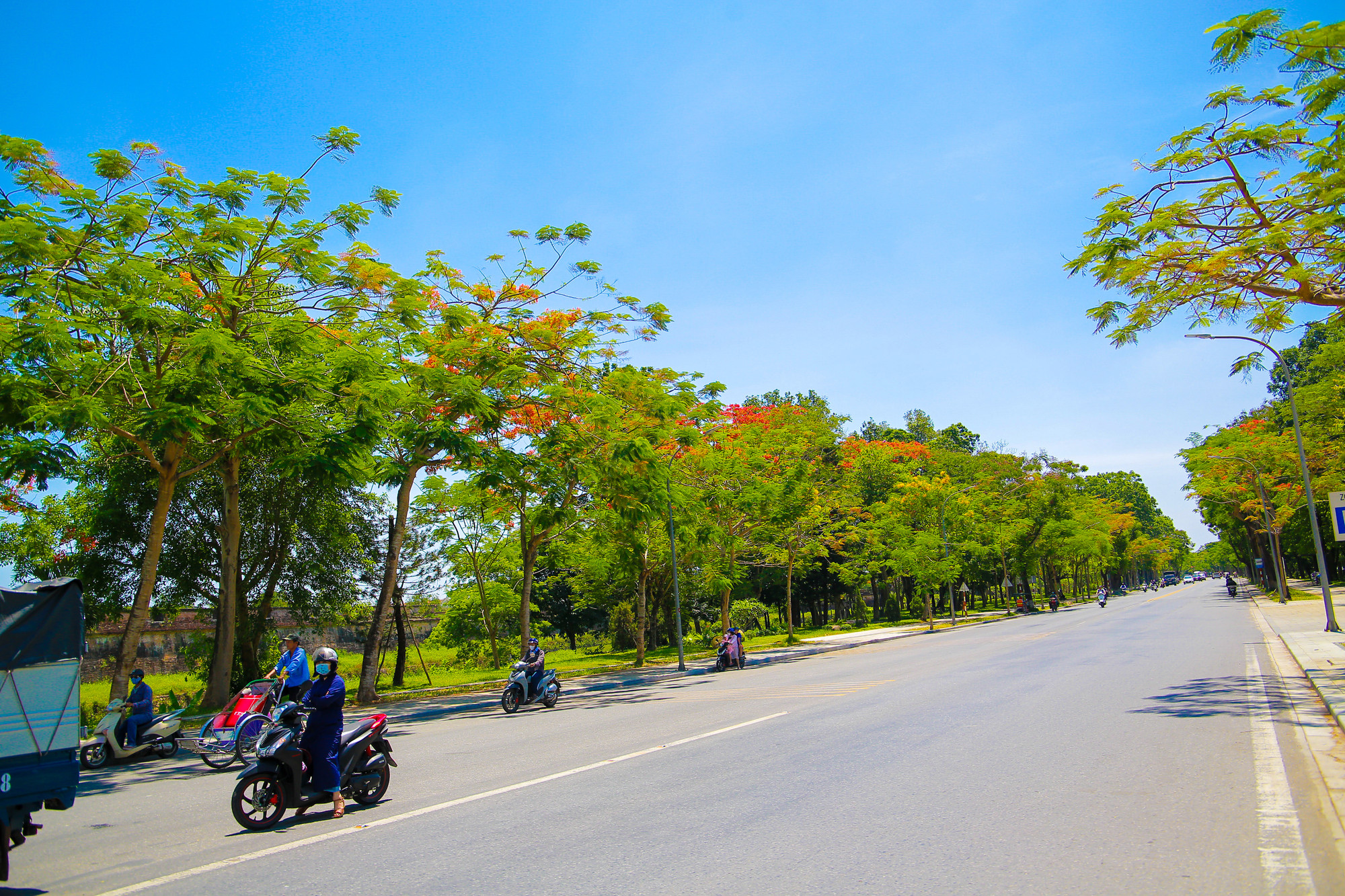 Hoa phượng nở khắp các tuyến đường đường Lê Lợi, Trần Hưng Đạo, Phan Đình Phùng, Phan Chu Trinh…