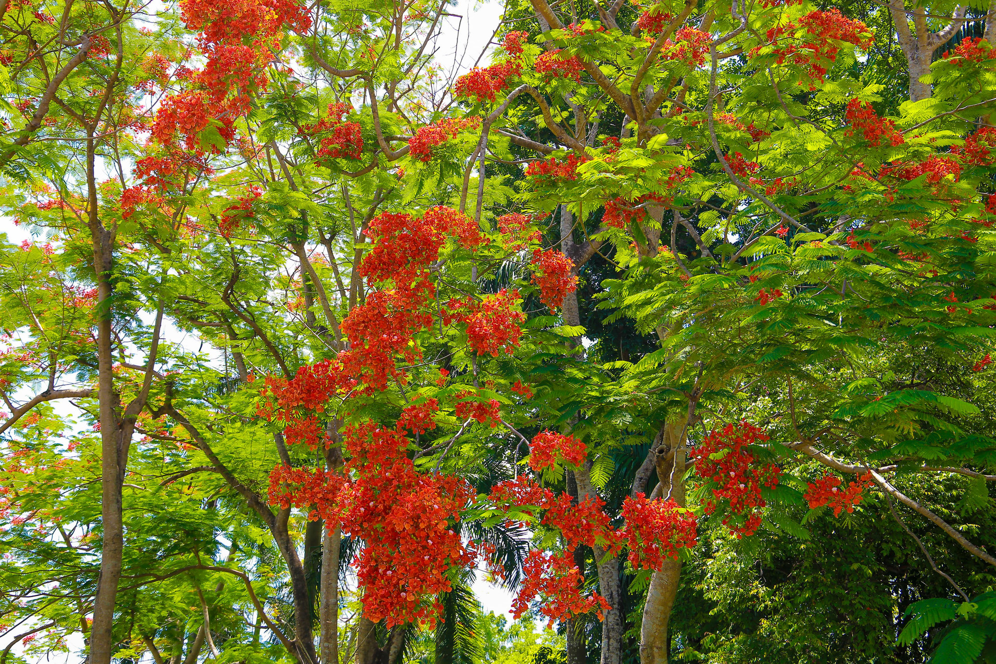 Đây cũng là một chủ đề cho các nhiếp ảnh gia, du khách và người dân địa phương đam mê chụp ảnh để có được những bức ảnh của riêng mình.
