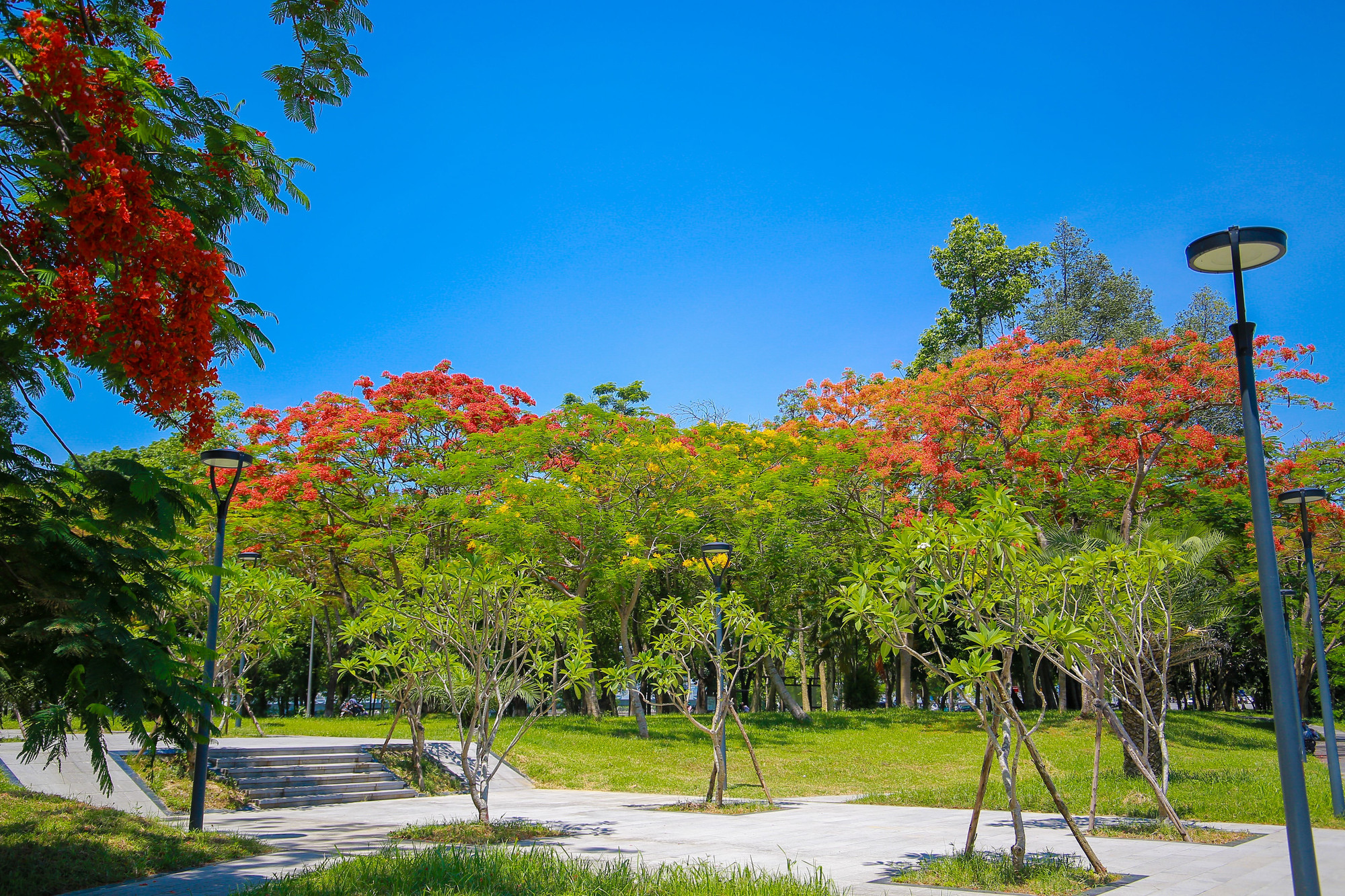 Đây cũng là một chủ đề cho các nhiếp ảnh gia, du khách và người dân địa phương đam mê chụp ảnh để có được những bức ảnh của riêng mình.