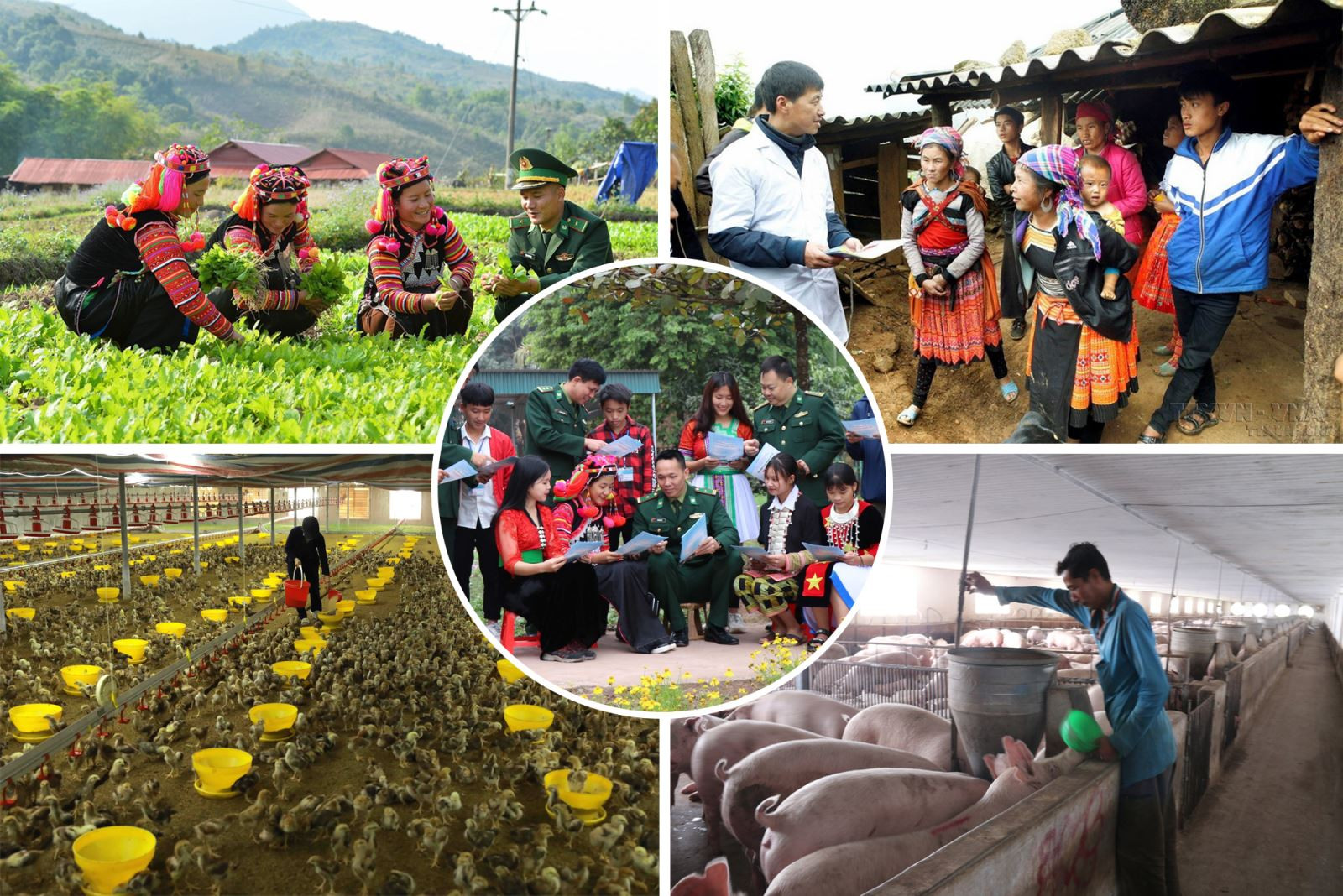 Cùng với sự phát triển của kinh tế - xã hội, đời sống của người dân cũng được nâng cao. Cùng với sự phát triển của kinh tế - xã hội, đời sống của người dân cũng được nâng cao.