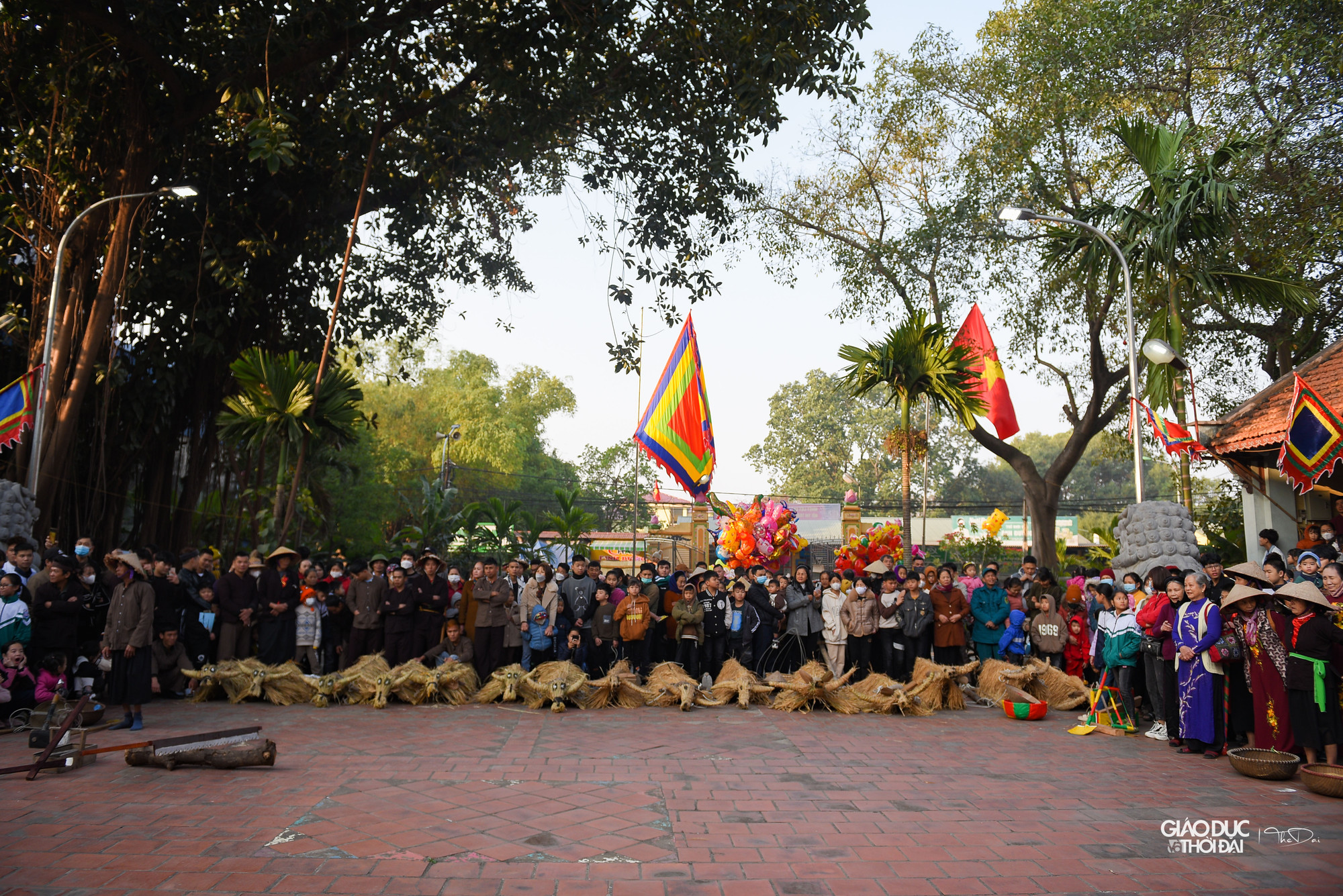 Lễ hội trâu rơm bò rạ được phục dựng lại năm 1996 giữ nguyên những nét cốt lõi của lễ hội xưa. Tất cả đều tham gia, bày trò nơi sân miếu vào đầu năm, tạo nên bức tranh xuân rộn ràng, đong đầy giá trị nhân văn