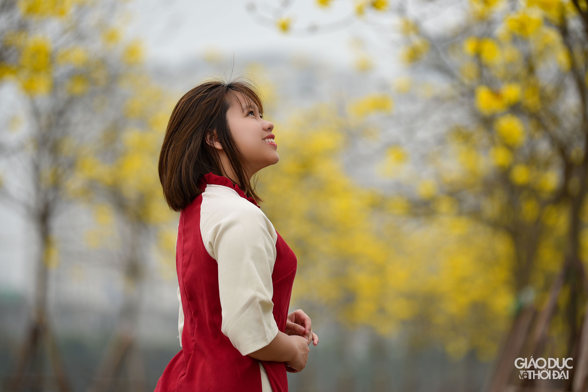 Con đường hoa phong linh thu hút rất đông người ở đủ mọi độ tuổi đến chụp ảnh.