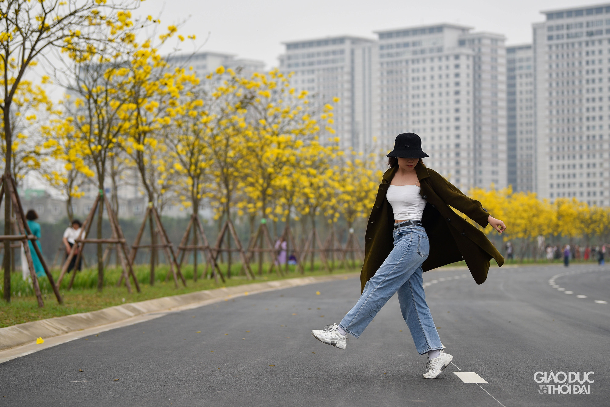 Con đường hoa phong linh thu hút rất đông người ở đủ mọi độ tuổi đến chụp ảnh.