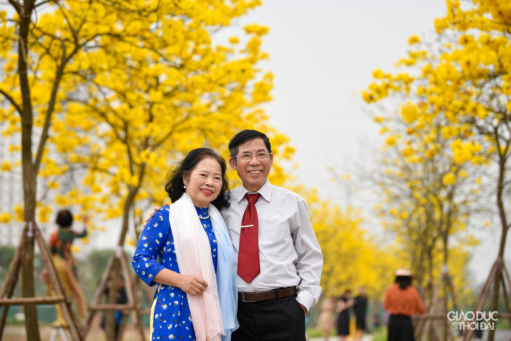 Con đường hoa phong linh thu hút rất đông người ở đủ mọi độ tuổi đến chụp ảnh.