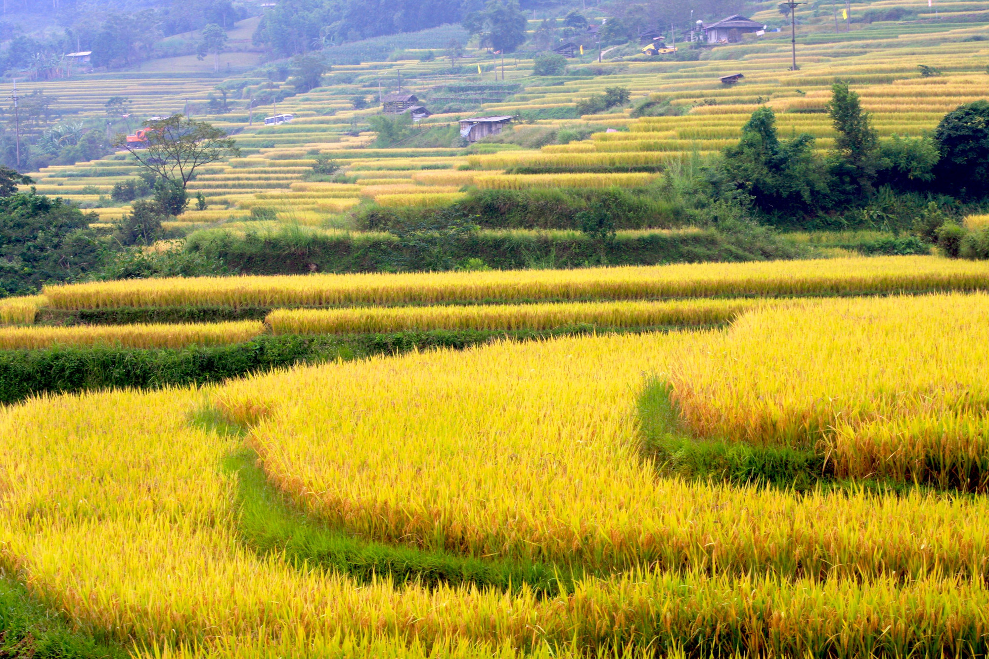 Nằm kề bên cạnh núi rừng trùng điệp, những thửa ruộng bậc thang tạo nên một khung cảnh thiên nhiên tươi đẹp cho Hồng Thái. Bức tranh vùng cao ấy như hút hồn du khách, quyến rũ mời gọi, chào đón mọi tâm hồn yêu cái đẹp tìm đến. Nằm kề bên cạnh núi rừng trùng điệp, những thửa ruộng bậc thang tạo nên một khung cảnh thiên nhiên tươi đẹp cho Hồng Thái. Bức tranh vùng cao ấy như hút hồn du khách, quyến rũ mời gọi, chào đón mọi tâm hồn yêu cái đẹp tìm đến.