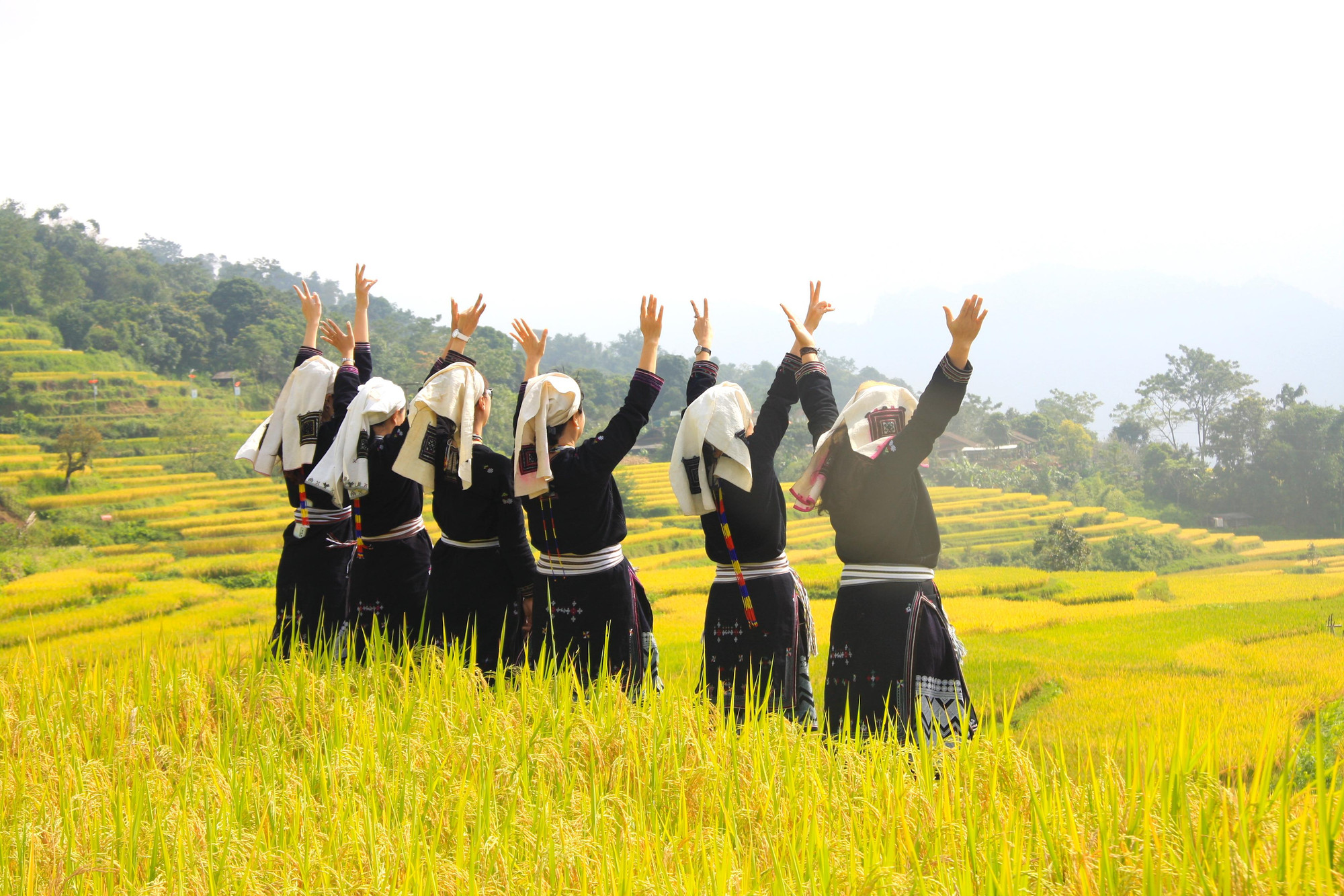 Ruộng bậc thang ở Hồng Thái là một trong những điểm đến hấp dẫn, nơi du khách có thể tận hưởng trọn vẹn vẻ đẹp phong cảnh hữu tình, giao lưu trải nghiệm văn hóa, đời sống cùng người dân vùng cao. Ruộng bậc thang ở Hồng Thái là một trong những điểm đến hấp dẫn, nơi du khách có thể tận hưởng trọn vẹn vẻ đẹp phong cảnh hữu tình, giao lưu trải nghiệm văn hóa, đời sống cùng người dân vùng cao.