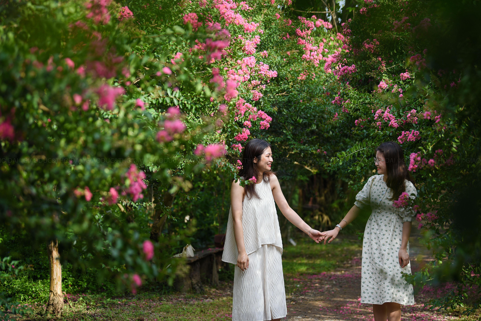 Hai bên đường xanh mát, những bông hoa rơi rụng trải 1 thảm đỏ giữa đường đi tạo cảm giác lãng mạn.