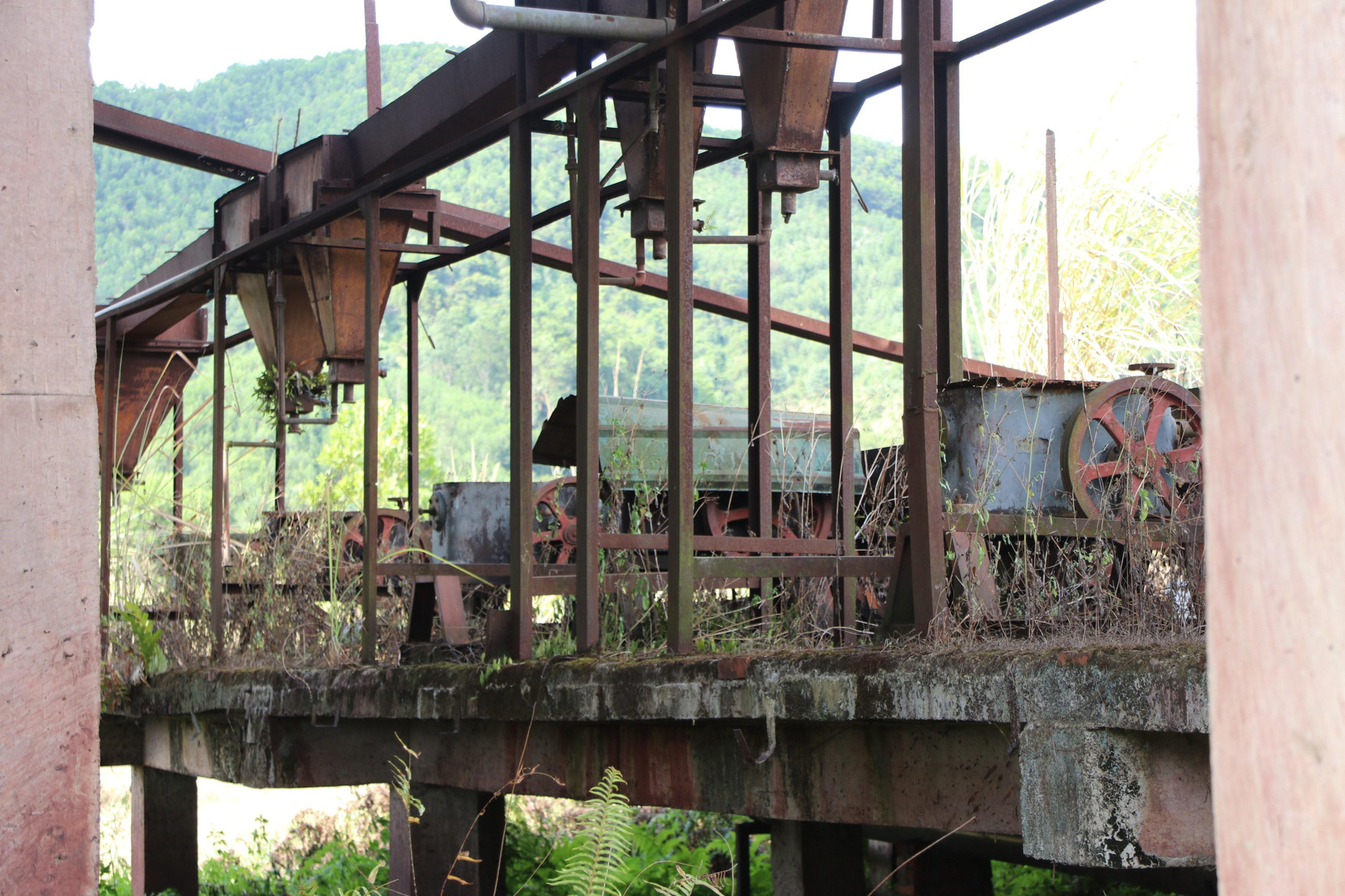 Sau 10 năm bỏ hoang, nhà máy đã trở thành đống đổ nát, hoang tàn; xung quanh cỏ dại mọc um tùm và trở thành nơi chăn thả bò của người dân.