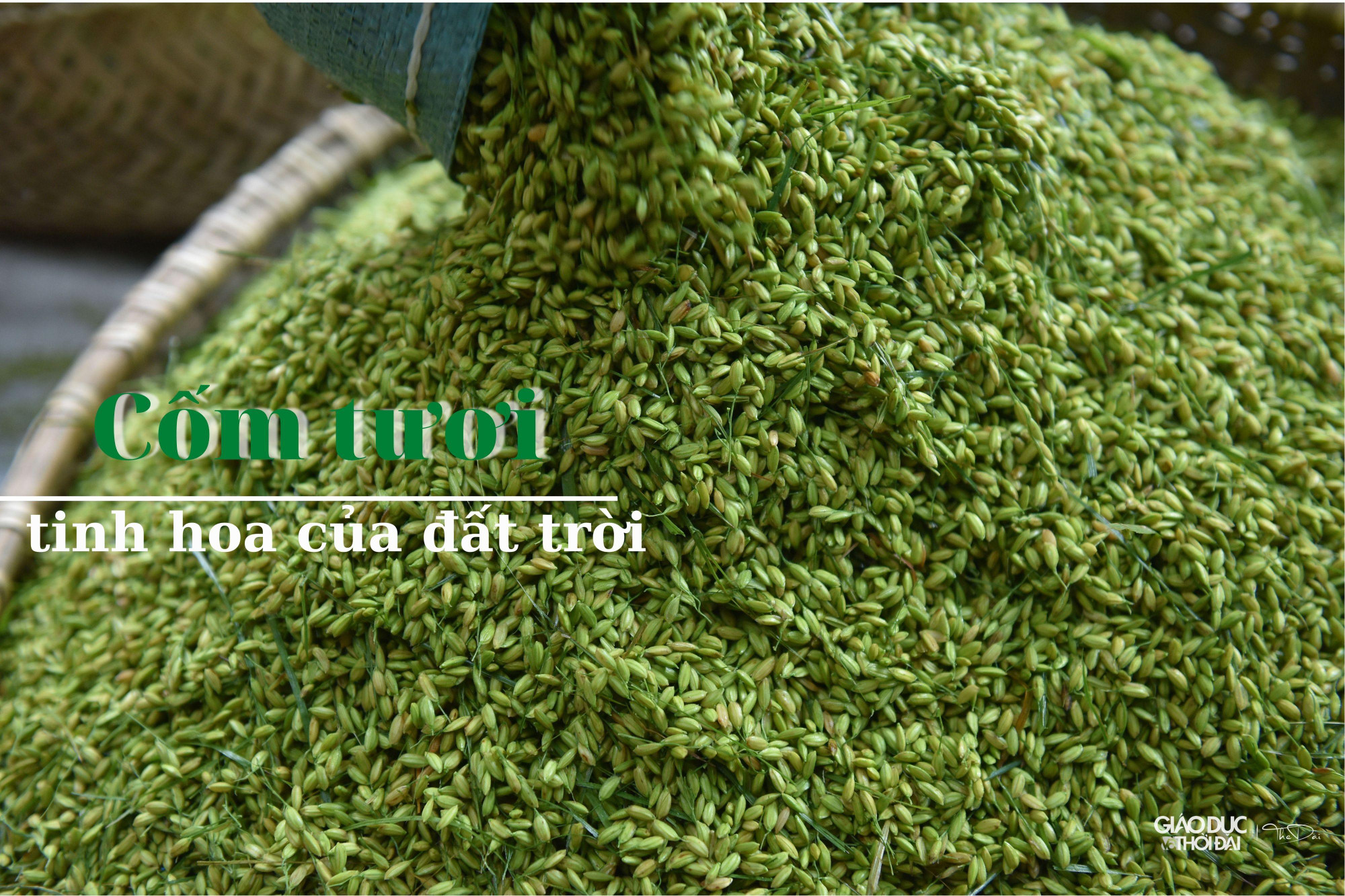 Làng nghề cốm Mễ Trì (quận Nam Từ Liêm, Hà Nội) đã có từ lâu đời, tới nay vẫn còn giữ được nguyên vẹn bí quyết làm ra hương thơm đặc trưng của cốm mà không nơi nào có được.