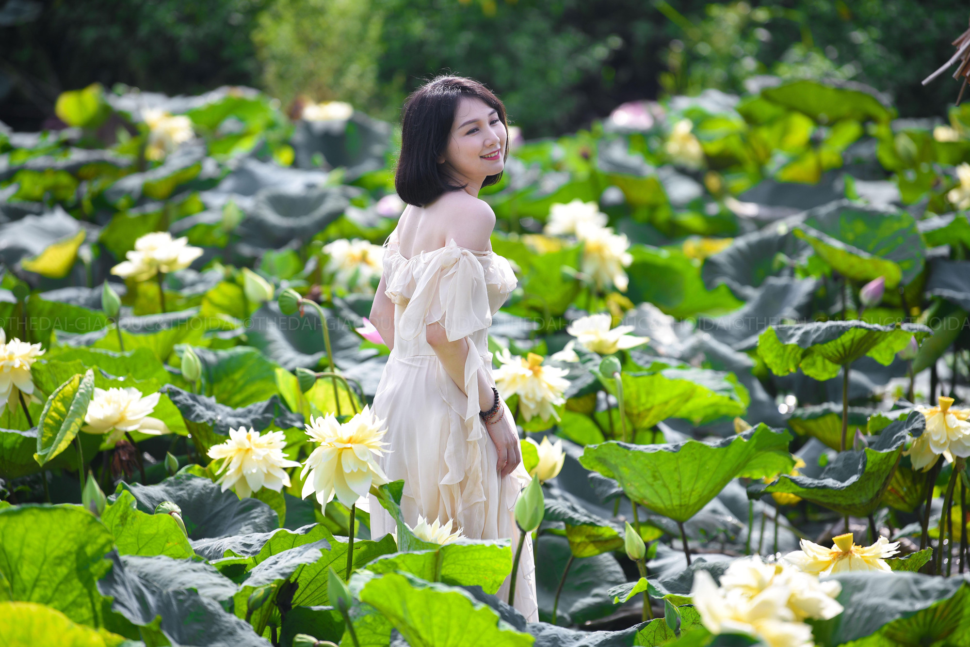 Nhiều bạn trẻ đã không ngại đi xa để đến đây chụp hình với loài hoa độc đáo này.