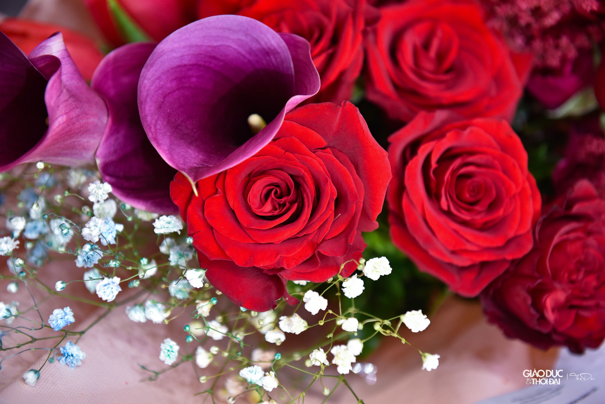 Thay vì những loại hoa quen thuộc thì giờ đây các chàng trai, quý ông có xu hướng ưa chuộng hoa nhập khẩu từ châu Âu, châu Phi...