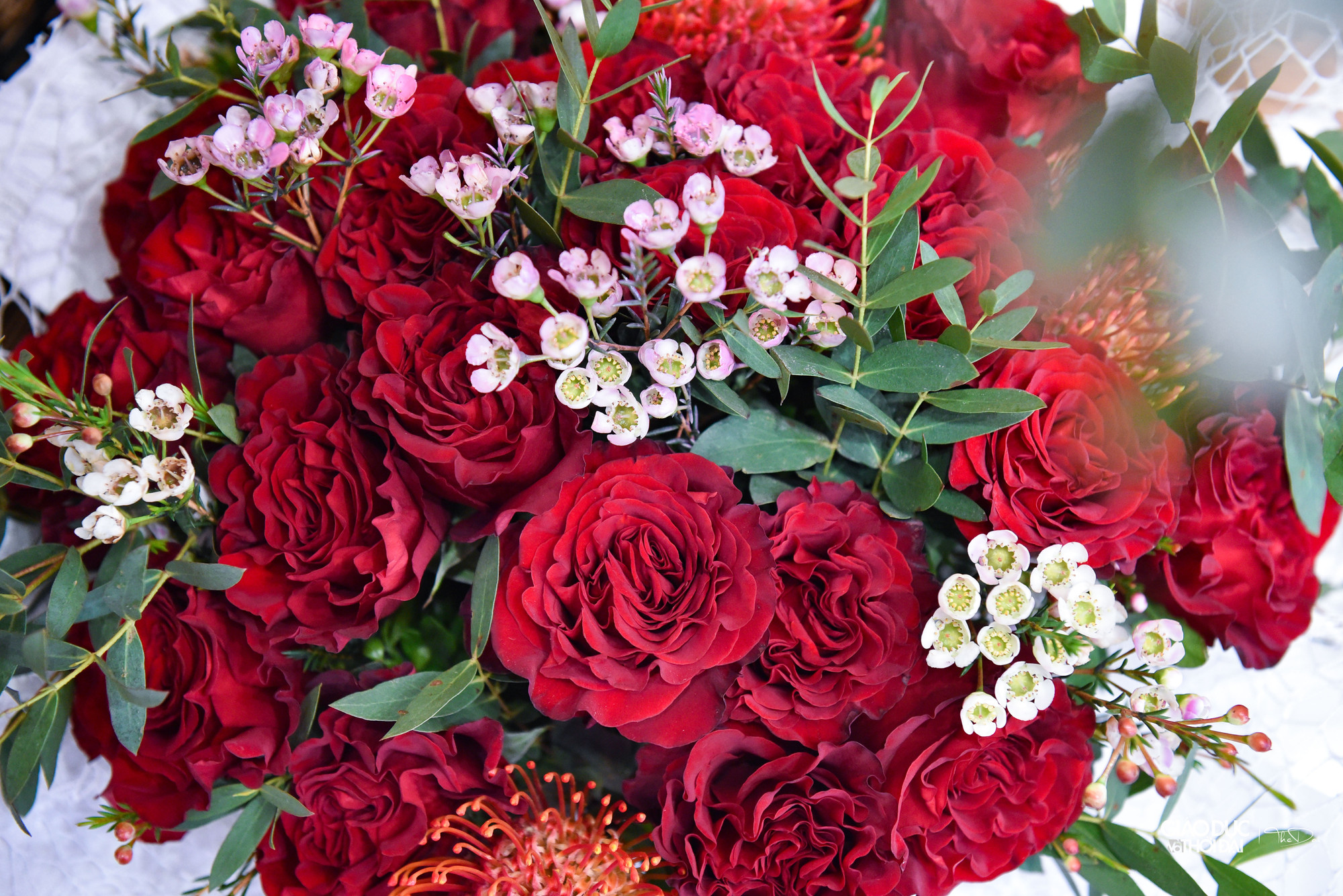 Thay vì những loại hoa quen thuộc thì giờ đây các chàng trai, quý ông có xu hướng ưa chuộng hoa nhập khẩu từ châu Âu, châu Phi...