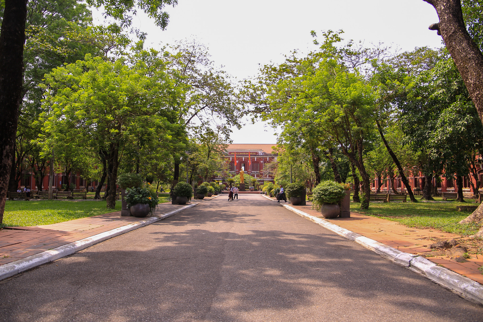 Trường Trung học Phổ thông chuyên Quốc học Huế là ngôi trường mà Chủ tịch Hồ Chí Minh từng theo học vào những năm đầu thế kỷ 20. Năm 1908, Nguyễn Tất Thành là một trong mười học sinh giỏi nhất Trường Tiểu học Pháp - Việt Đông Ba thi vượt cấp vào lớp đệ nhị trung học tại Trường Quốc học khóa 1908 - 1909.