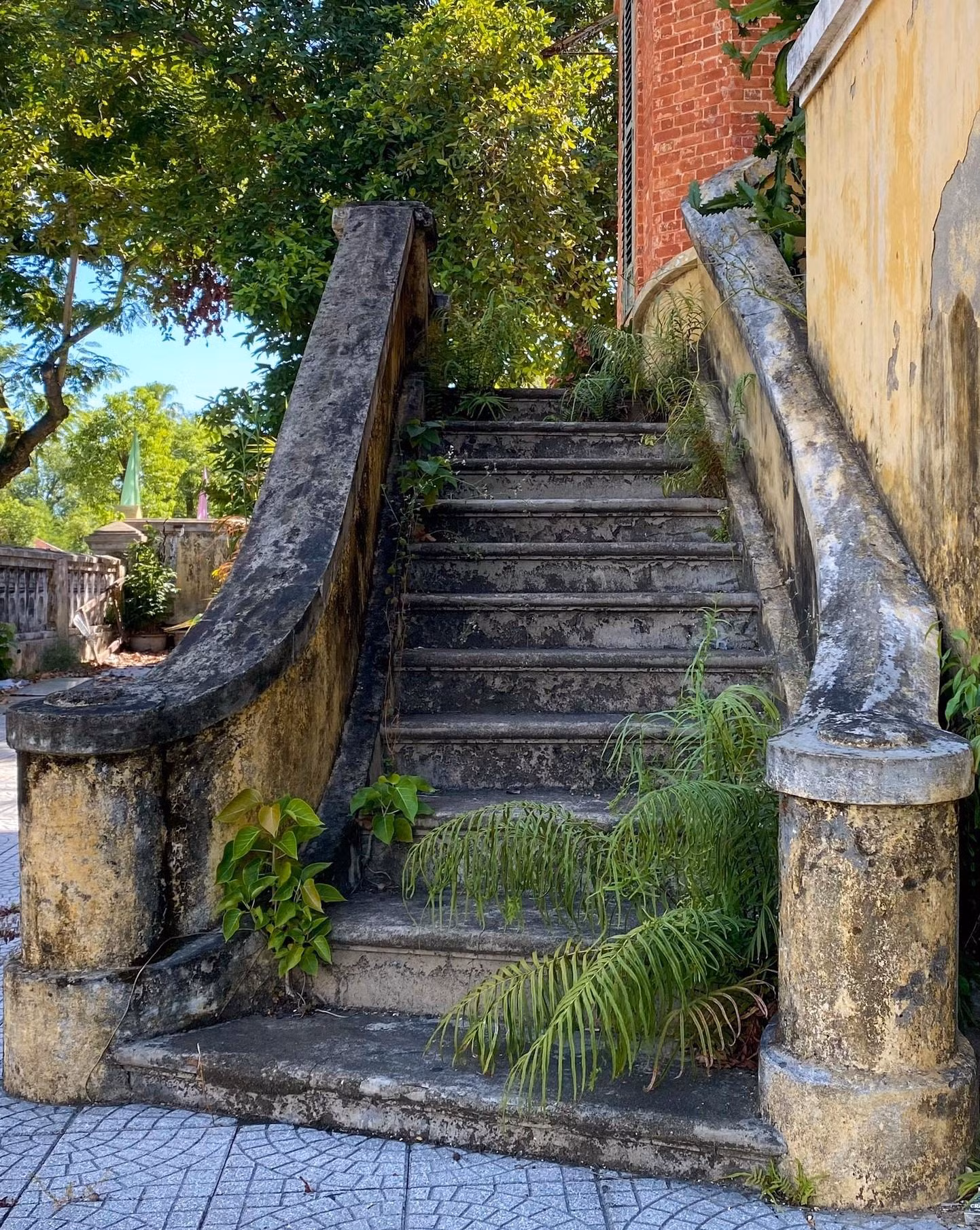 Cầu thang đi lên mọc nhiều cây dại do đã để lâu không ai sử dụng.