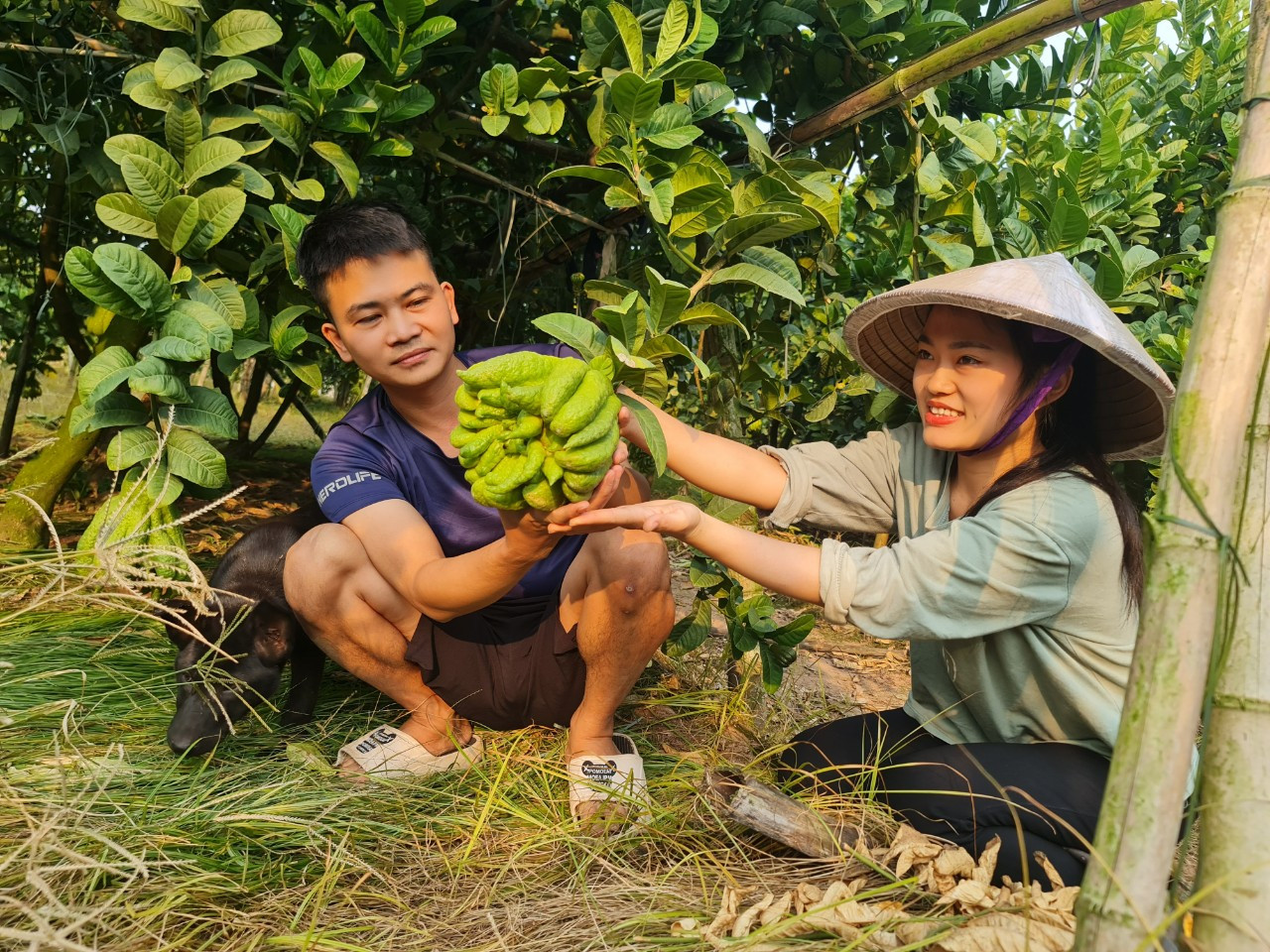Theo vợ chồng anh Thắng, chị Dung, chủ vườn trồng phật thủ ở Đắc Sở chia sẻ:“Cây phật thủ chỉ trồng khoảng 4 - 6 năm là cho quả đẹp nhất. Một quả phật thủ đẹp tùy theo quan niệm của từng vùng miền, miền Bắc thích ngón dài, miền Nam thích ngón mập, quả tròn giống bông cúc. Phật thủ ngoài tiêu chí quả to, tròn, ngón dài đều nhiều tầng lớp, còn phải có độ sáng bóng, đường kính quả rộng thì giá trị bán mới cao. Những năm gần đây, khách hàng chuyển qua mua những quả có màu xanh nhiều hơn”.