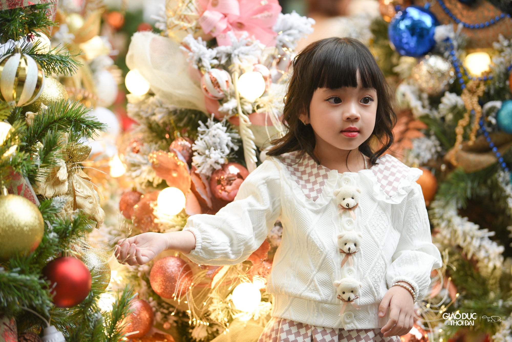 Nhiều bạn nhỏ được gia đình đưa đi mua sắm, chọn đồ trang trí Noel.