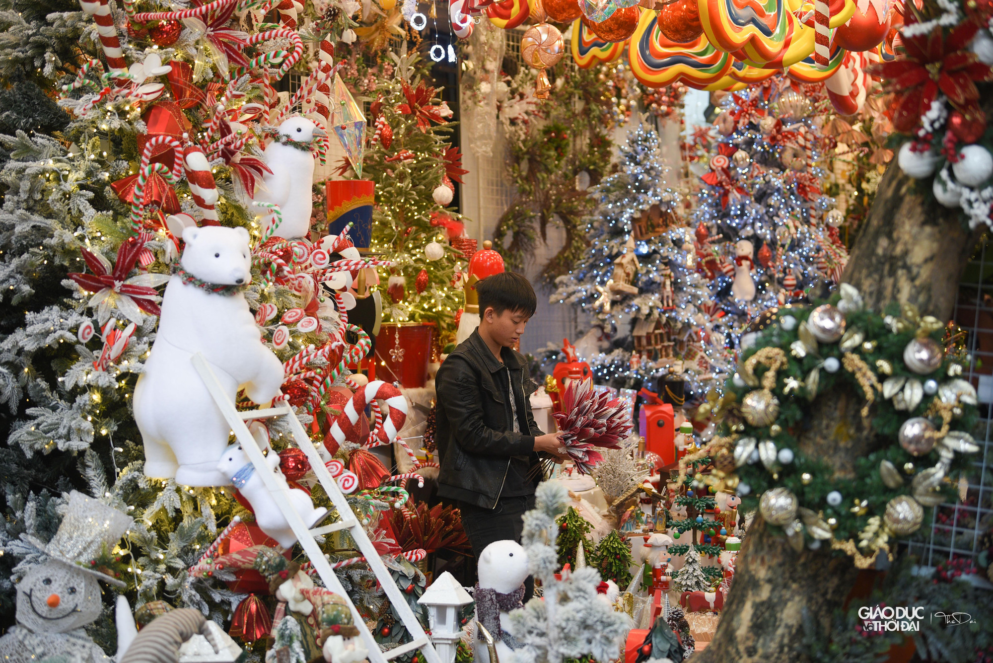 Nhiều cây thông lớn được trang trí đèn sắc màu, có những cây thông siêu to khổng lồ vô cùng độc đáo, đồ trang trí nhỏ xinh được bày bán tại mỗi cửa hàng.
