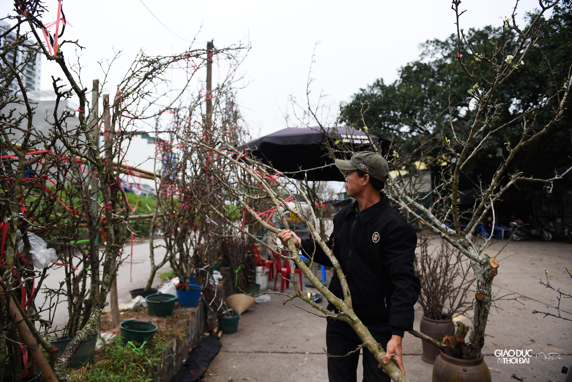 Đa dạng về kích thước và giá thành để phục vụ mọi người dân.