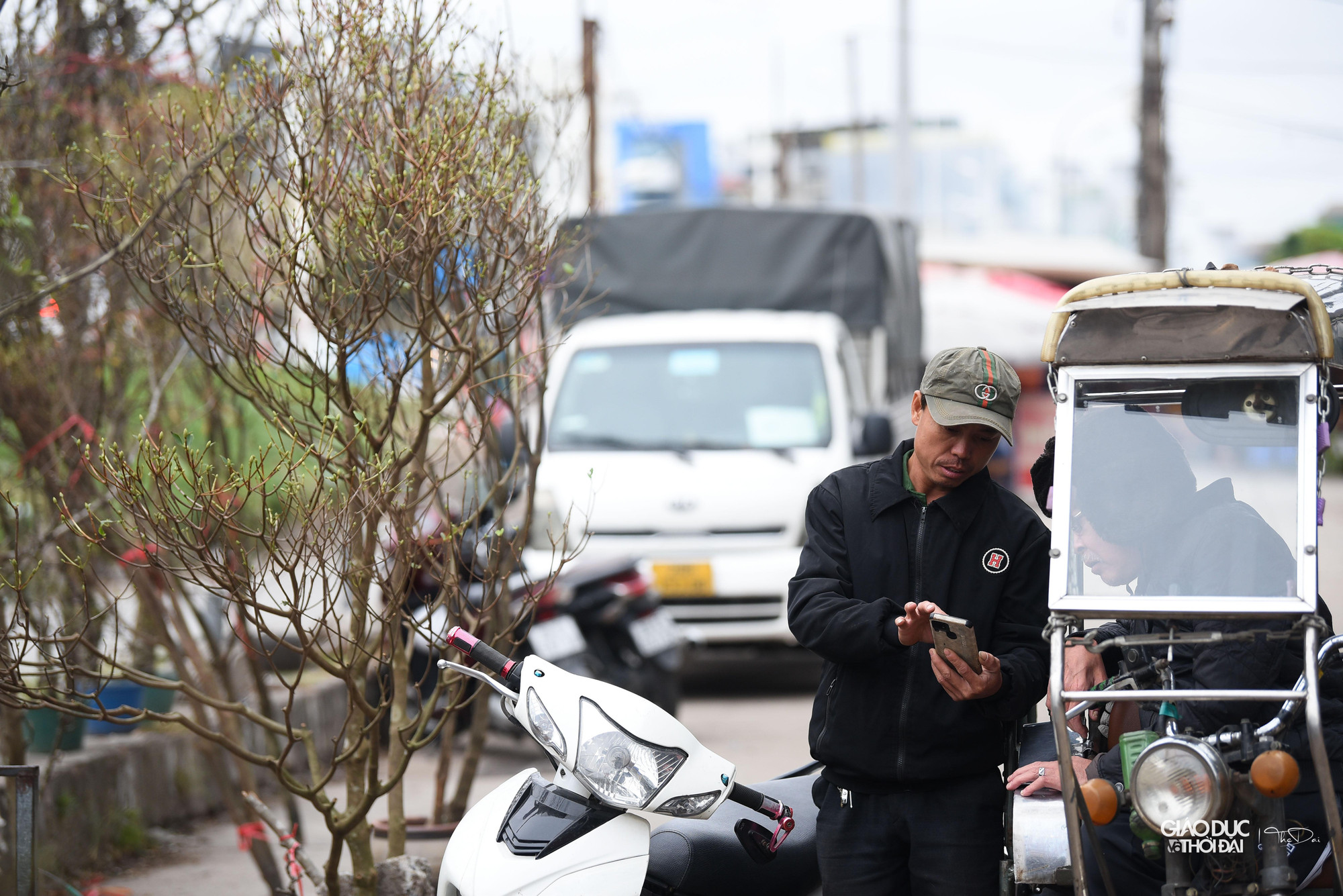Nhiều người &apos; chơi&apos; hoa cho biết: So với hoa đào, hoa lê thường lâu tàn và nở thành chùm lớn, do đó việc chọn mua hoa lê vào thời điểm này vừa thư thả lại vừa trưng được lâu.