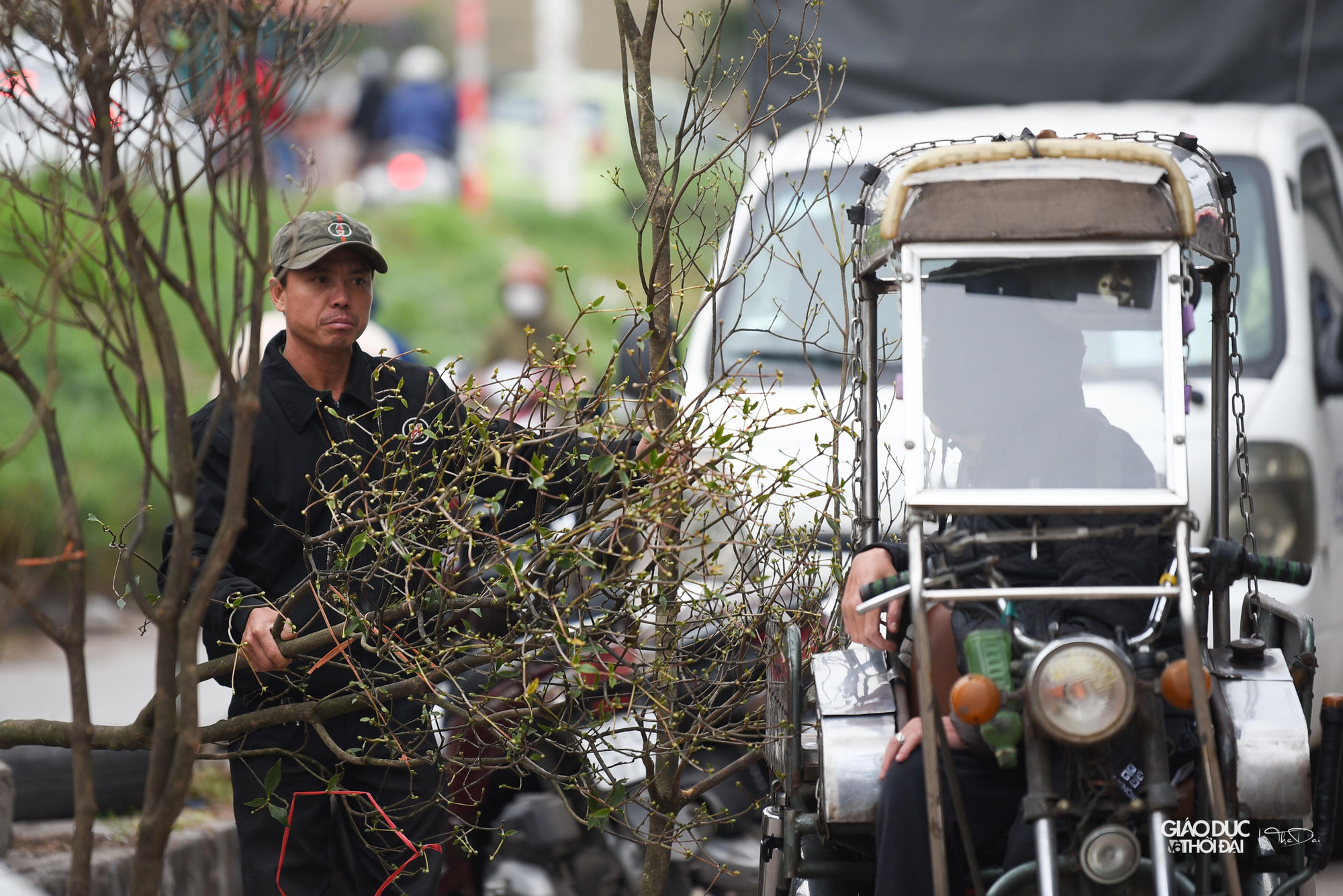 Giá của hoa đào chuông xanh dao động khoảng 3,5 triệu đồng/1 cành to.