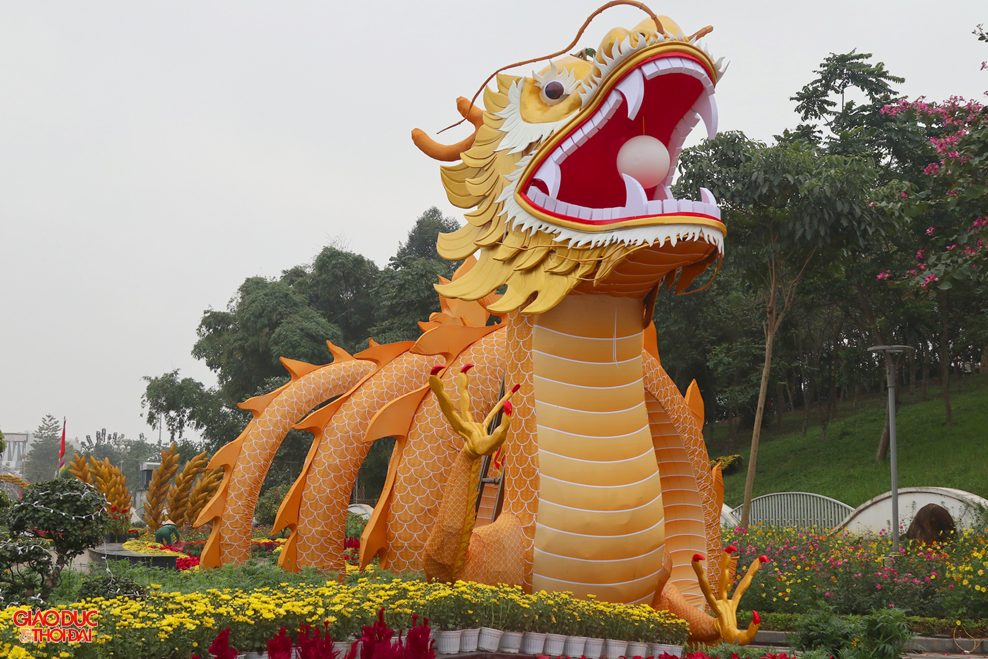 Nhiều người dân đánh giá tạo hình linh vật rồng đẹp và uy nghi. Những lớp hoa tươi phủ quanh thân rồng như những lớp mây giúp tăng tính nghệ thuật. (Ảnh: Phạm Tâm) Nhiều người dân đánh giá tạo hình linh vật rồng đẹp và uy nghi. Những lớp hoa tươi phủ quanh thân rồng như những lớp mây giúp tăng tính nghệ thuật. (Ảnh: Phạm Tâm)