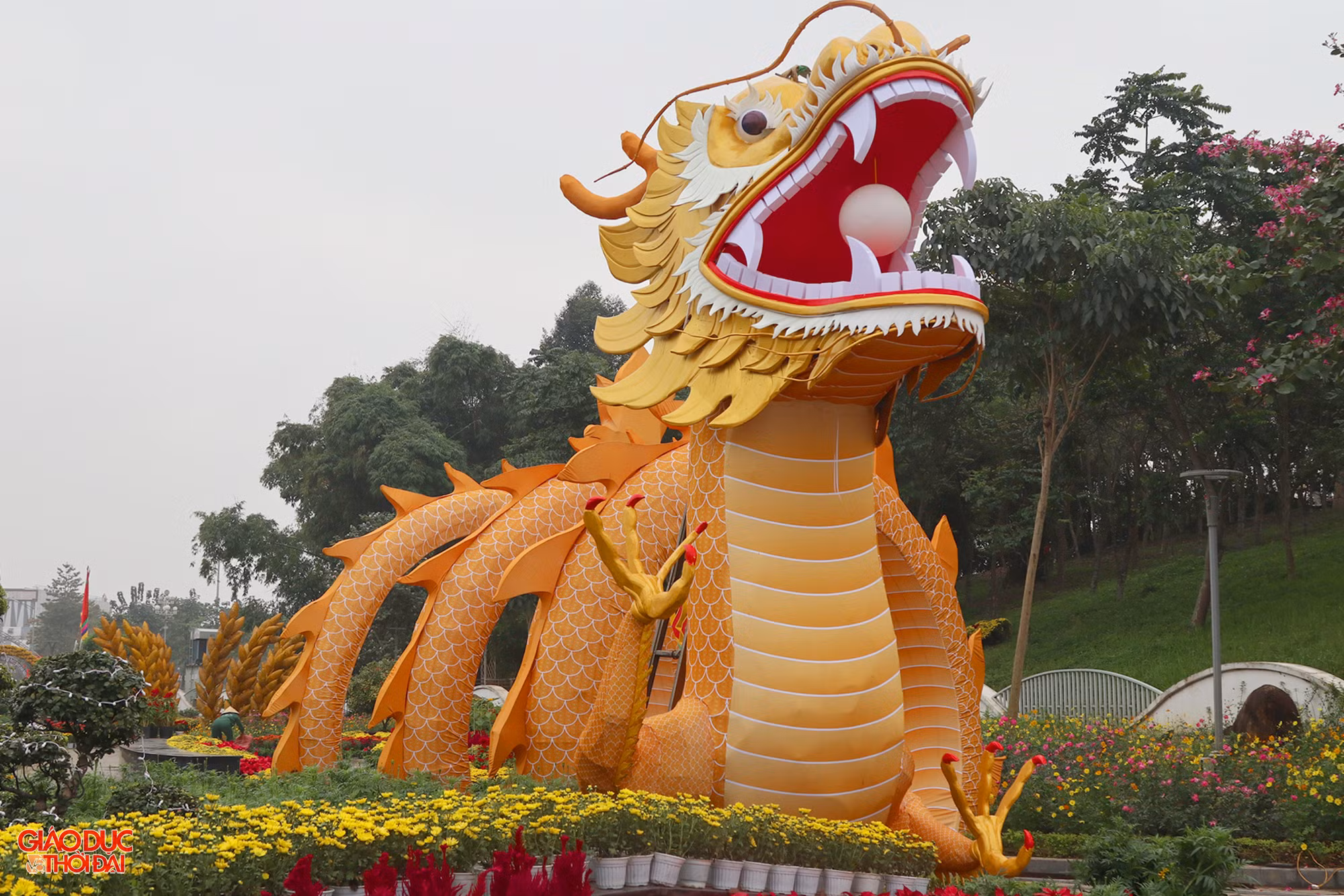 Nhiều người dân đánh giá tạo hình linh vật rồng đẹp và uy nghi. Những lớp hoa tươi phủ quanh thân rồng như những lớp mây giúp tăng tính nghệ thuật. (Ảnh: Phạm Tâm)