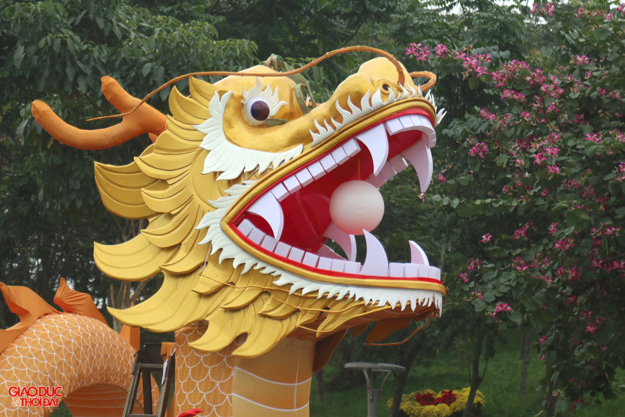 Linh vật rồng này lấy ý tưởng từ hình ảnh rồng ngậm ngọc cuộn tròn, ẩn mình trong mây. (Ảnh: Phạm Tâm) Linh vật rồng này lấy ý tưởng từ hình ảnh rồng ngậm ngọc cuộn tròn, ẩn mình trong mây. (Ảnh: Phạm Tâm)