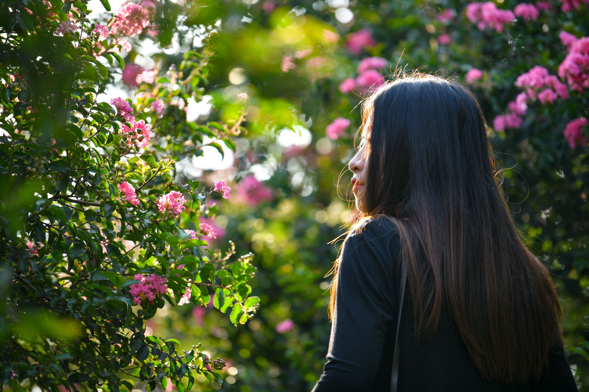 Với giá vé vào tham quan, chụp ảnh nơi đây là 70.000 đồng, vườn hoa còn có nhiều dịch vụ đa dạng như cho thuê trang phục, đạo cụ và các phương tiện như xe đạp, thuyền…