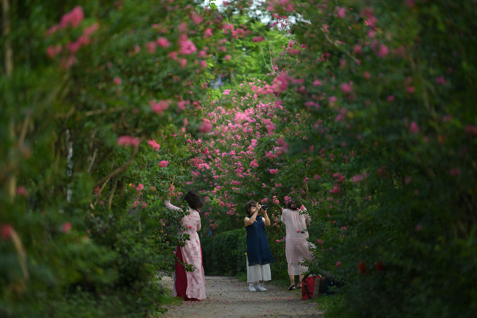 Khách đến đây thường tập trung vào những ngày cuối tuần, sáng sớm hoặc chiều mát.