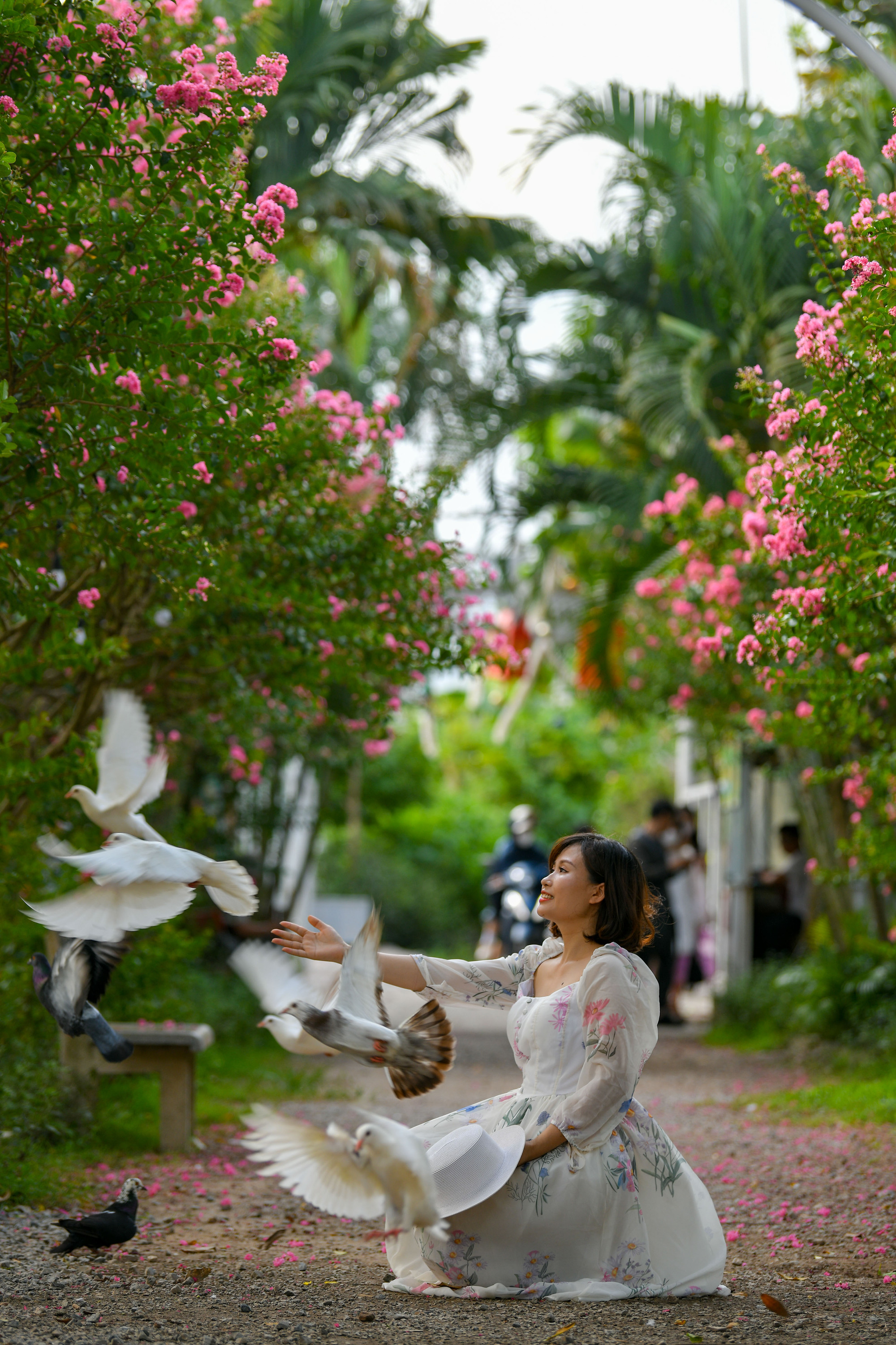 Đây trở thành điểm đến lý tưởng cho những người yêu hoa và muốn lưu lại những bức hình đẹp cùng loài hoa mỏng manh này.