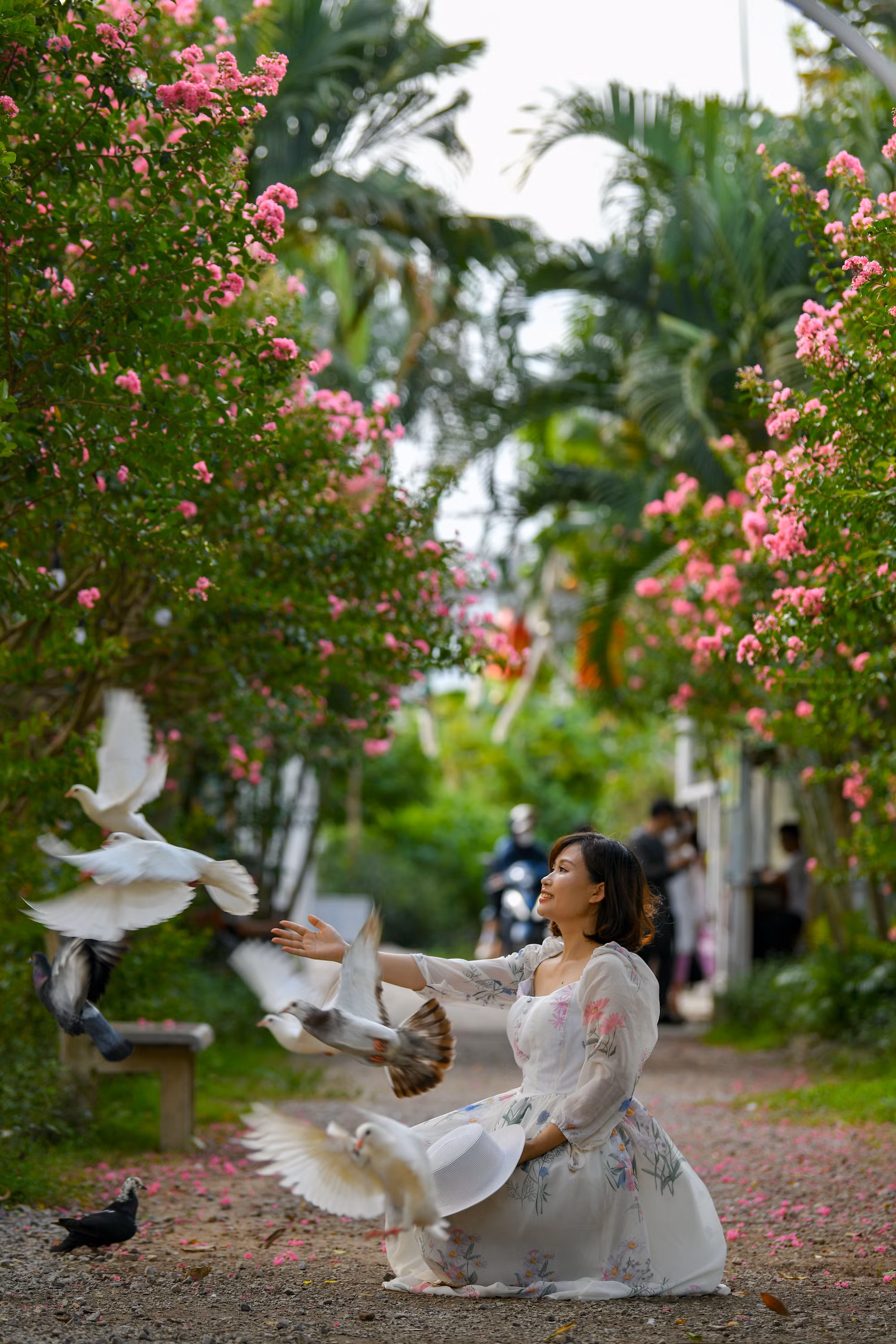 Đây trở thành điểm đến lý tưởng cho những người yêu hoa và muốn lưu lại những bức hình đẹp cùng loài hoa mỏng manh này.