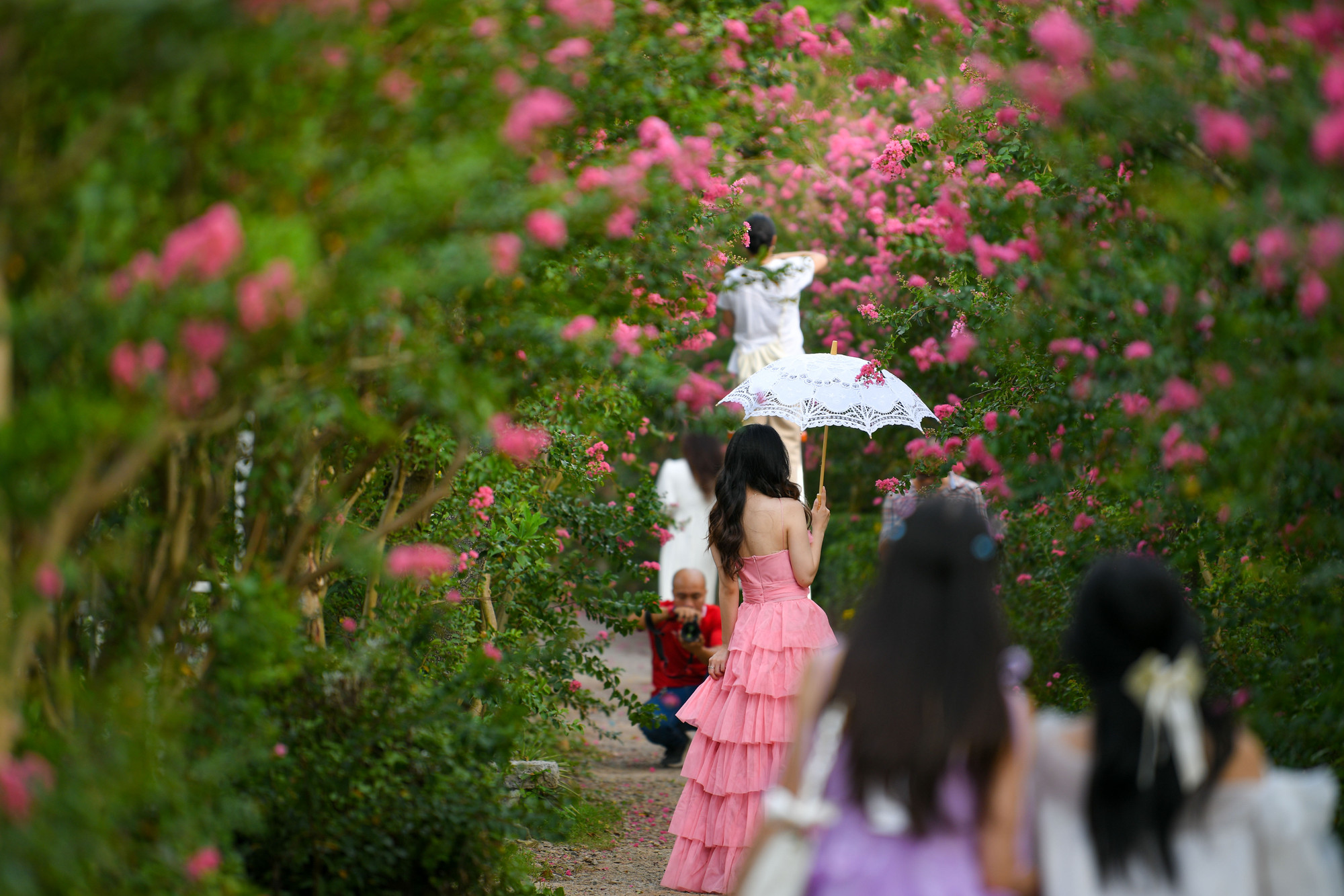 Chỉ có 1 con đường nên khi chụp hình các thợ chụp phải rất lựa góc chụp.