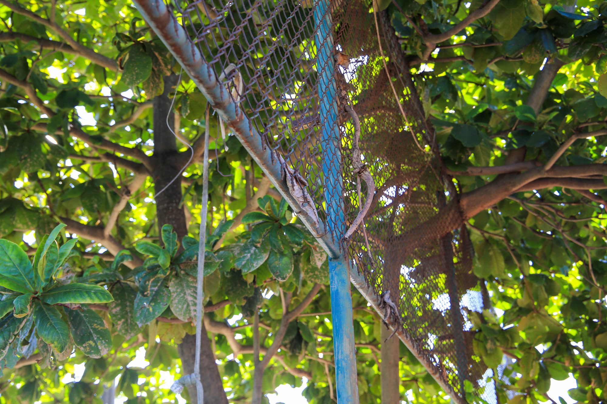 Dẫn đến nhiều công trình bị hư hỏng, xuống cấp nghiêm trọng.