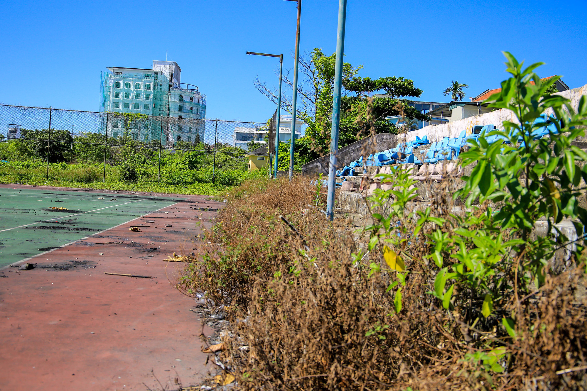 Cỏ dại mục um tùm.