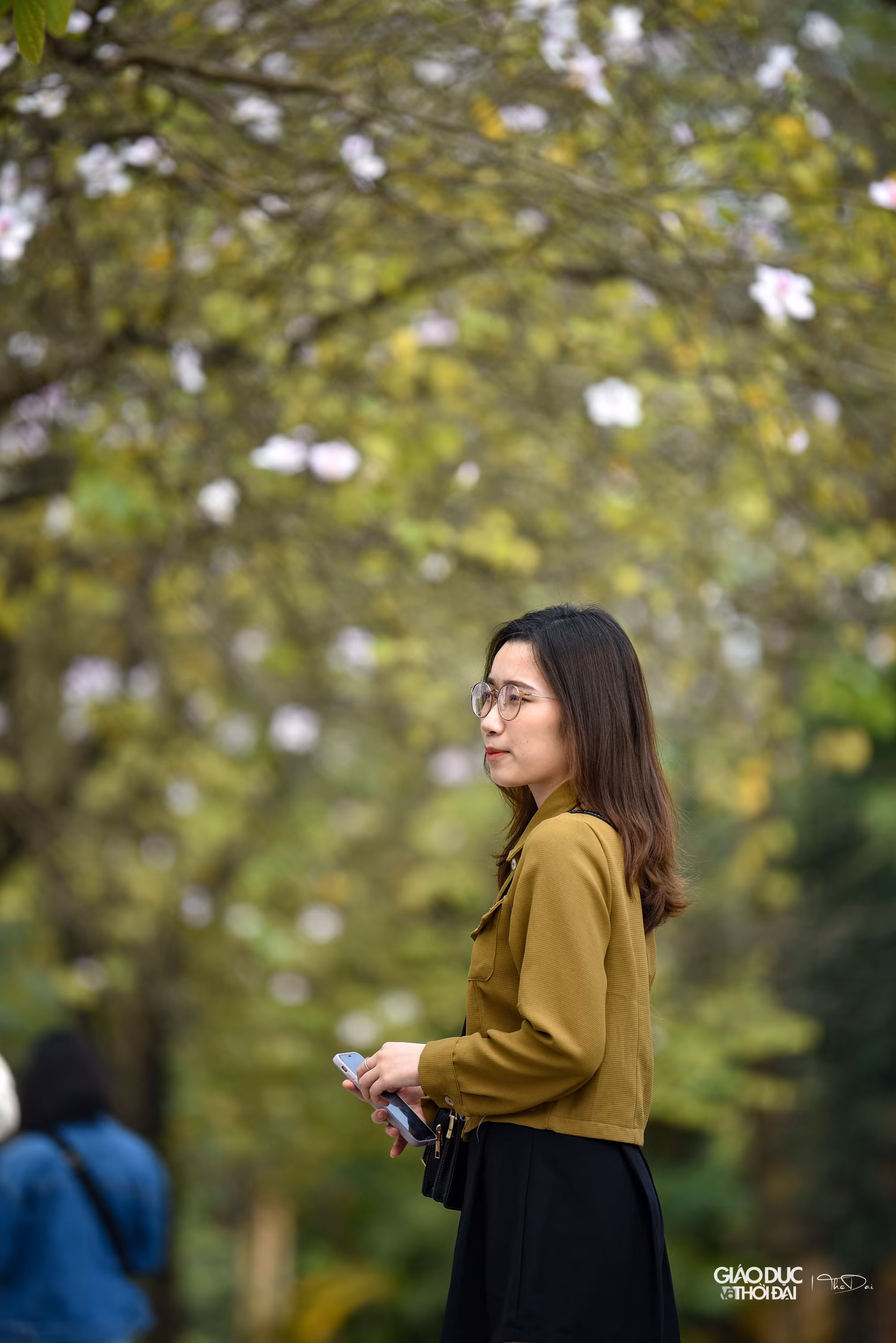 Rất nhiều người dân chọn phố Hoàng Diệu để ghi lại những khoảnh khắc đáng nhớ về loài hoa này.