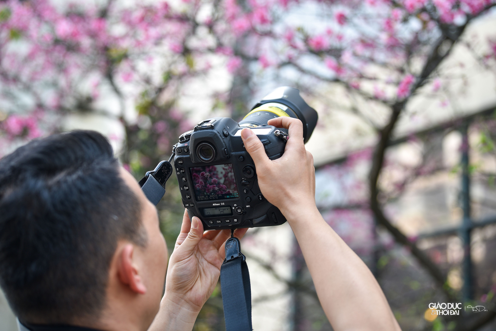 Mỗi độ xuân về, nhiều người Nhật chọn Bình An Thần Cung để tận hưởng một bầu trời đầy sắc hồng hoa anh đào. Mỗi độ xuân về, nhiều người Nhật chọn Bình An Thần Cung để tận hưởng một bầu trời đầy sắc hồng hoa anh đào.