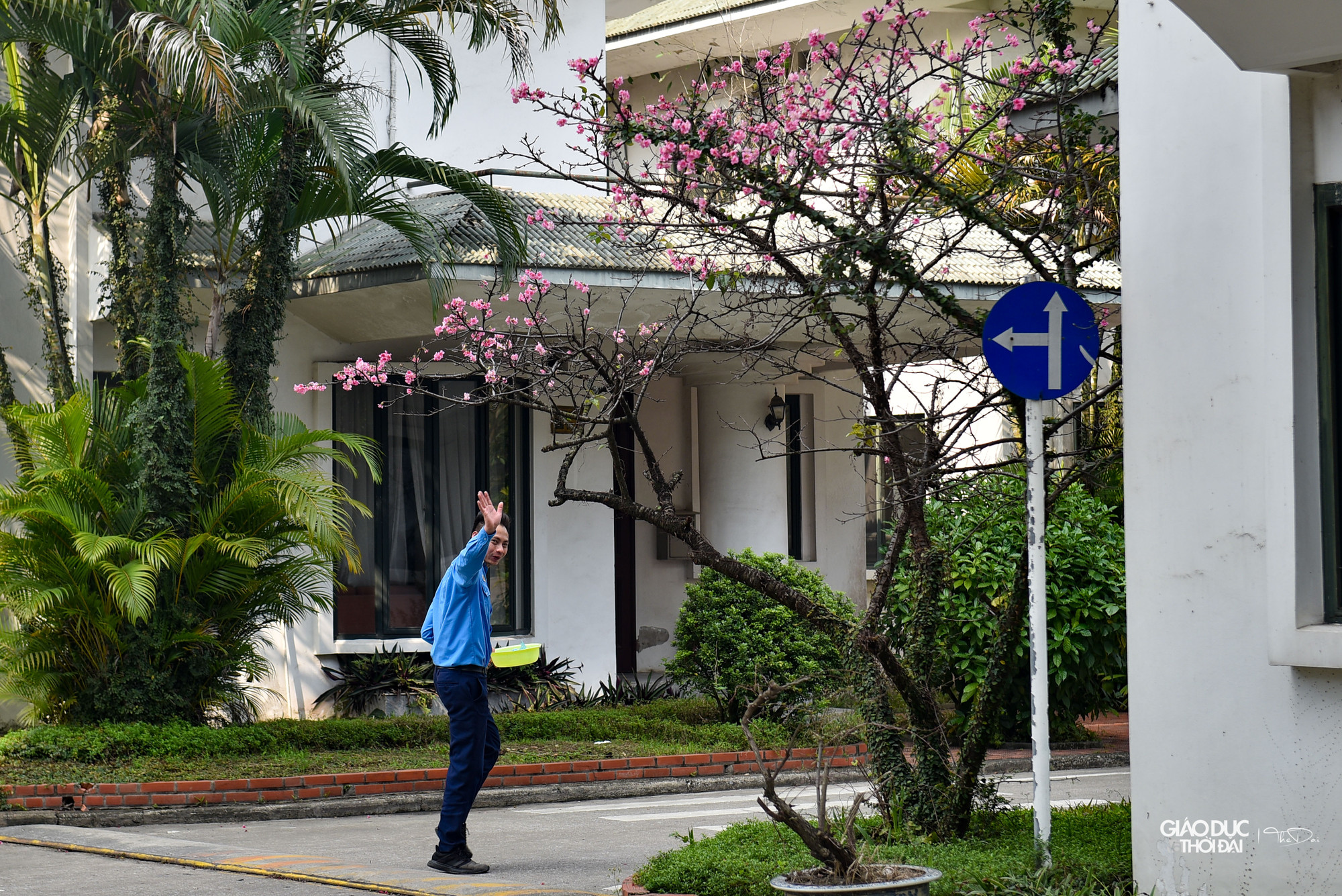 Đối với những bạn trẻ yêu mến loài hoa này, cách duy nhất để có thể chiêm ngưỡng trực tiếp là chờ đợi đến lễ hội hoa anh đào được tổ chức hàng năm vào cuối tháng 3 hoặc đầu tháng 4. Đối với những bạn trẻ yêu mến loài hoa này, cách duy nhất để có thể chiêm ngưỡng trực tiếp là chờ đợi đến lễ hội hoa anh đào được tổ chức hàng năm vào cuối tháng 3 hoặc đầu tháng 4.