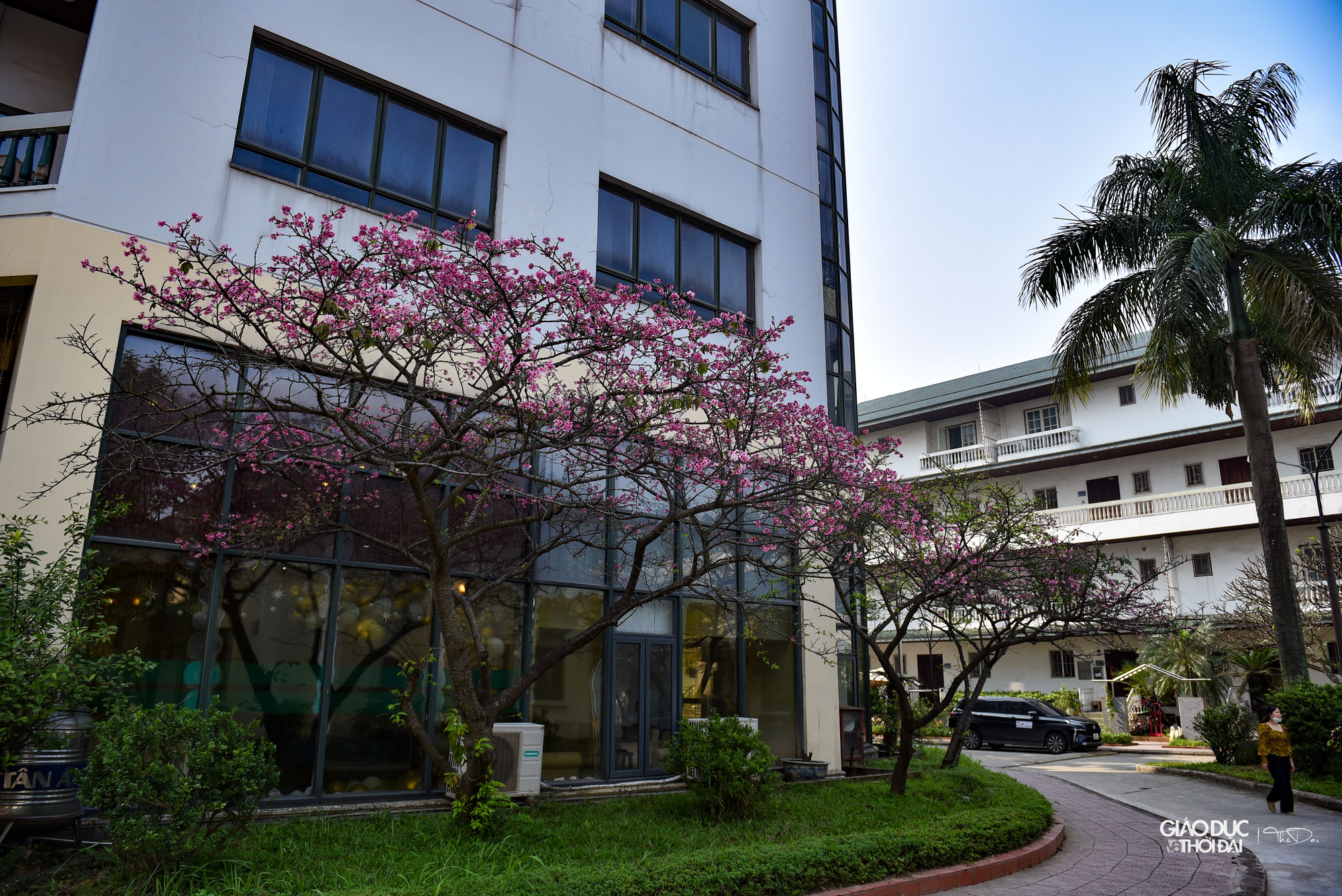 Dù được trồng và chăm sóc tại đây nhiều năm nhưng không phải ai cũng biết đến những cây hoa tuyệt đẹp này. Dù được trồng và chăm sóc tại đây nhiều năm nhưng không phải ai cũng biết đến những cây hoa tuyệt đẹp này.