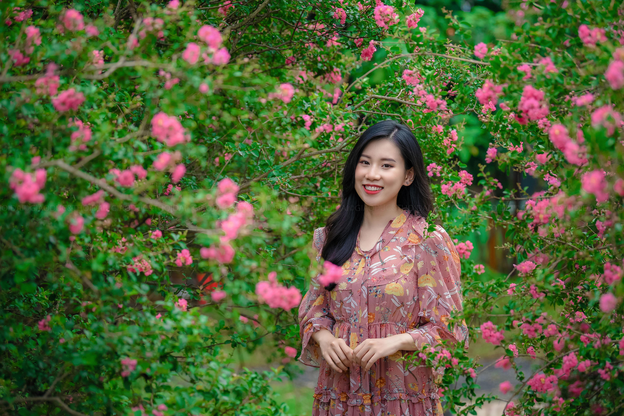 Không chỉ có tác dụng check - in, con đường hoa tường vi còn cho bóng mát xua tan hết mệt mỏi, muộn phiền, hứa hẹn sẽ là địa điểm lý tưởng để dã ngoại ngày cuối tuần.