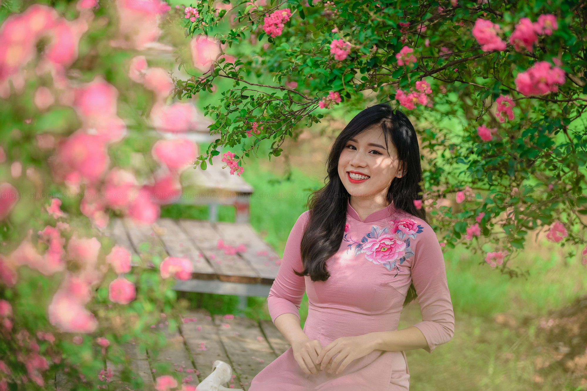 Tán cây xanh, chùm hoa hồng khoe sắc dưới nắng hè không chỉ mang tới cho du khách những tấm ảnh đẹp mà còn nhiều trải nghiệm thú vị giữa không gian trong lành.