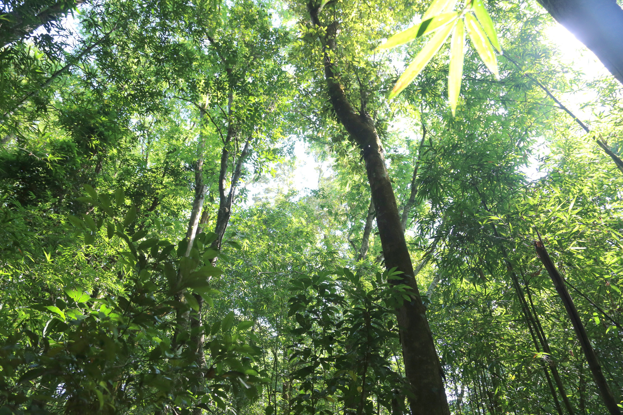 Khu BTTN Bắc Hướng Hóa được đánh giá có tính đa dạng sinh học cao.