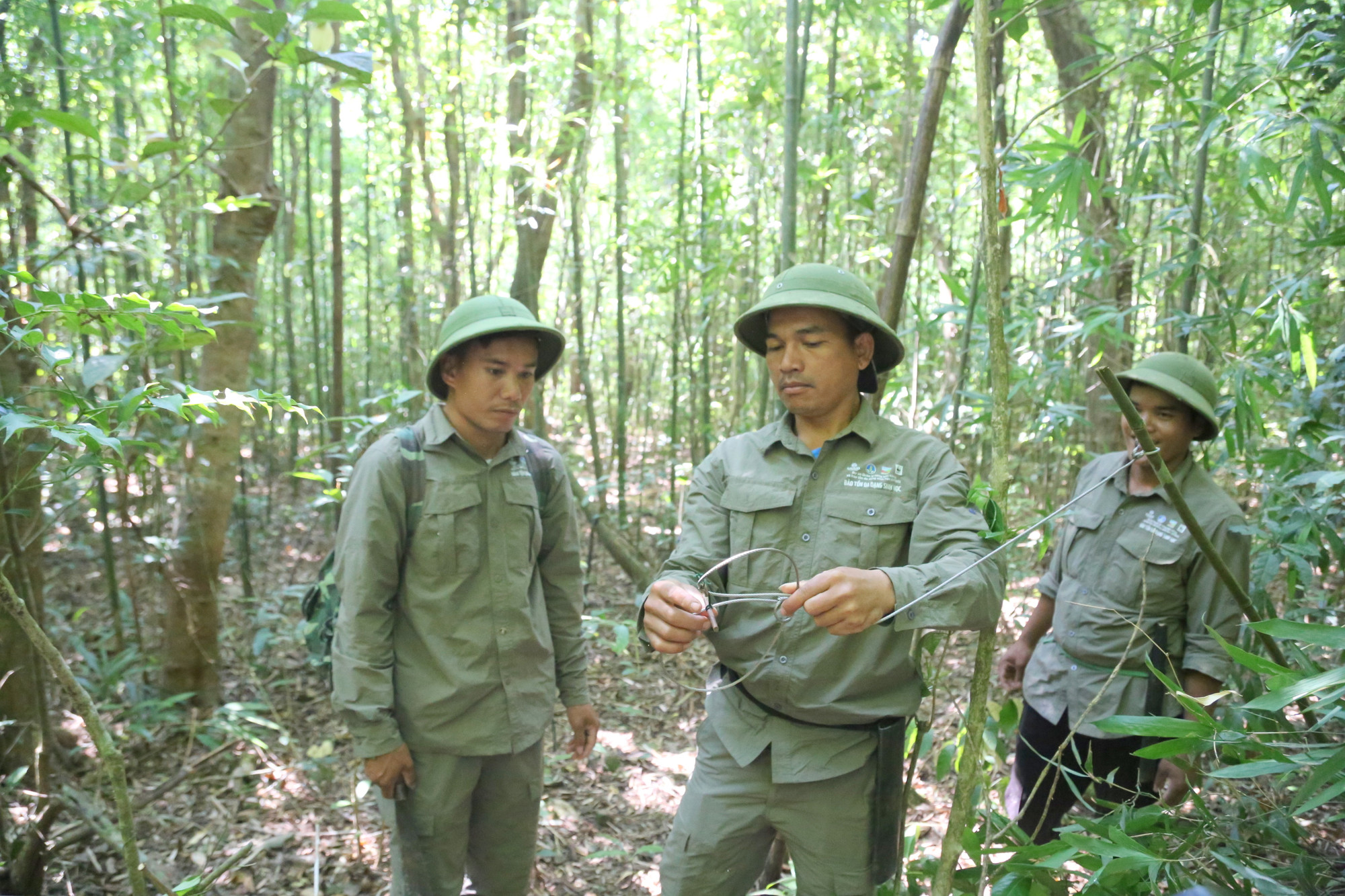 Từ tháng 10/2023 đến hết tháng 2/2024, Tổ tuần tra bảo vệ rừng và tháo gỡ bẫy động vật hoang dã phát hiện khoảng 300 bẫy thú các loại.