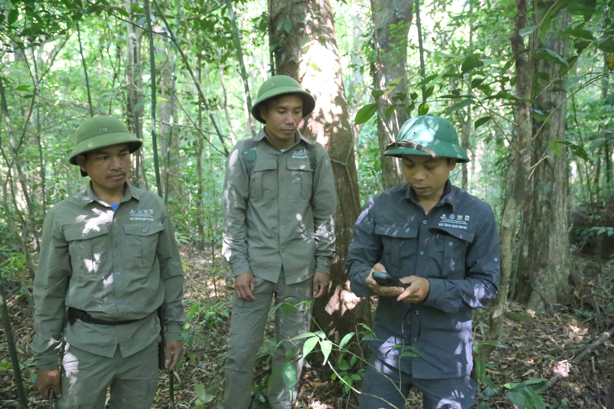 Từ năm 2021, Ban quản lý Khu BTTN Bắc Hướng Hóa triển khai đặt bẫy ảnh để điều tra về các loài động vật, sự phân bố của chúng nhằm phục vụ công tác bảo tồn đa dạng sinh học.