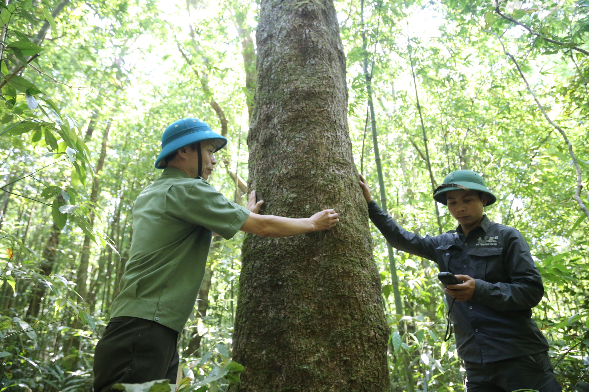Nơi đây tồn tại nhiều loại gỗ quý hiếm, cùng hệ sinh thái động, thực vật đa dạng.