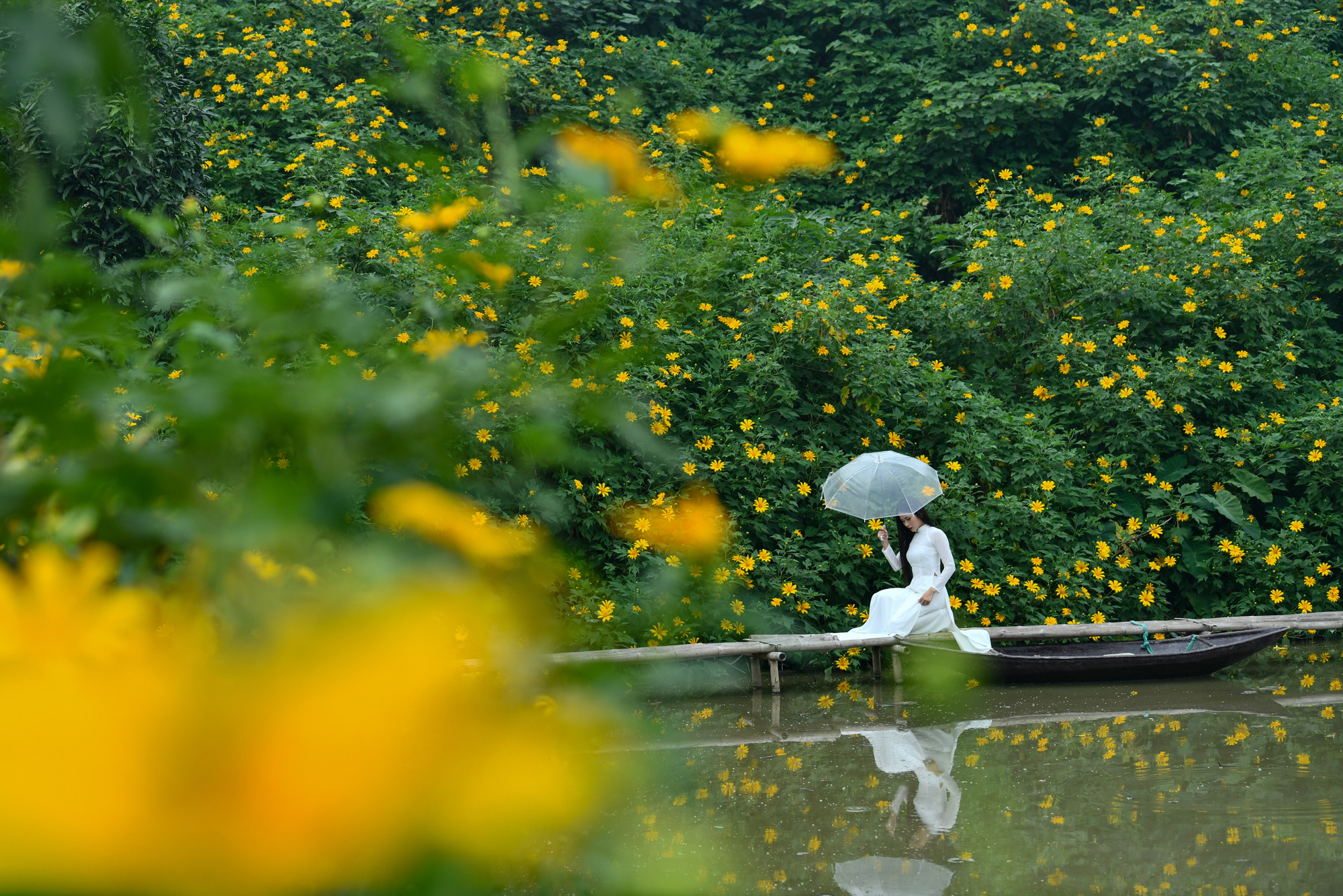 Mật độ hoa khá dày đặc nên dù đứng ở bất kì vị trí nào bạn cũng có thể sở hữu một tấm hình đẹp lung linh.
